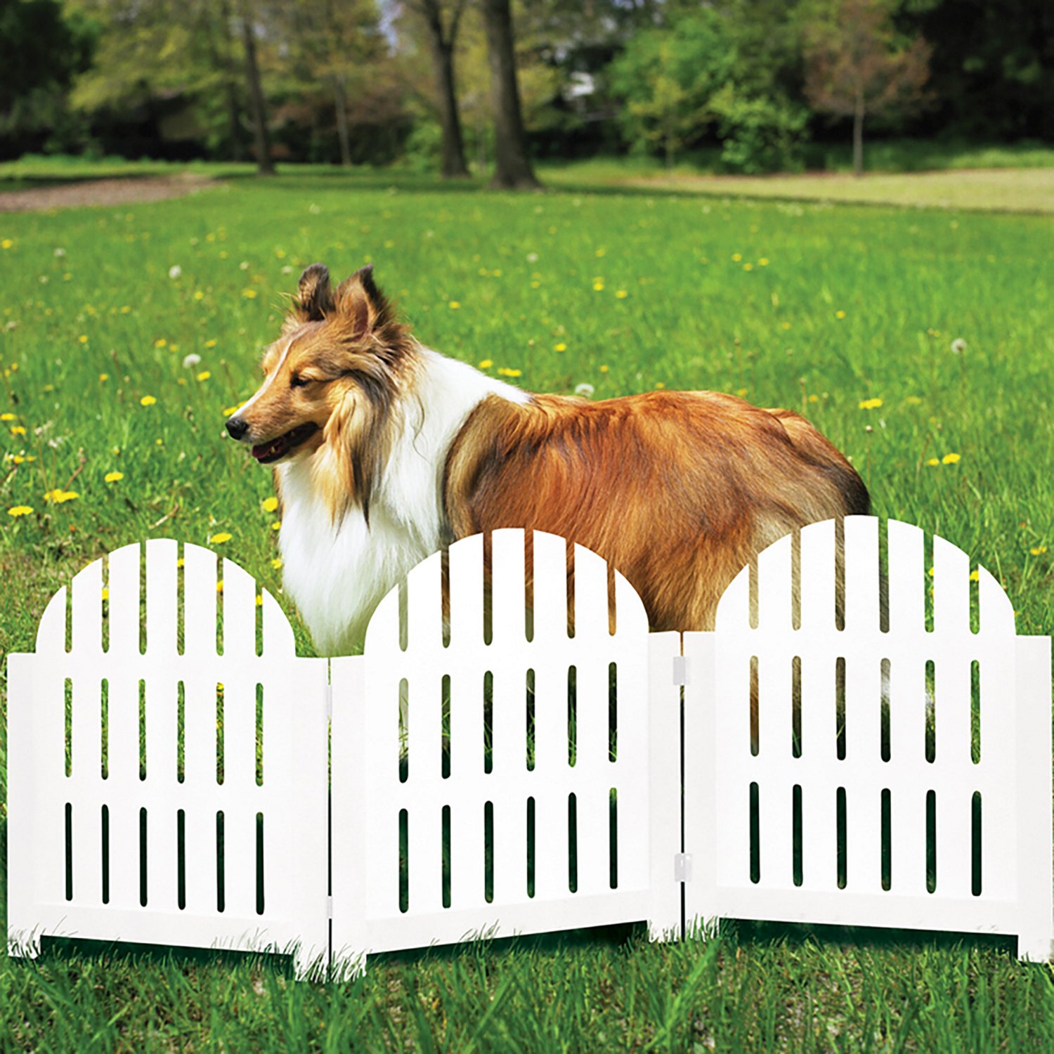 Etna Adirondack Pet Gate - view number 3