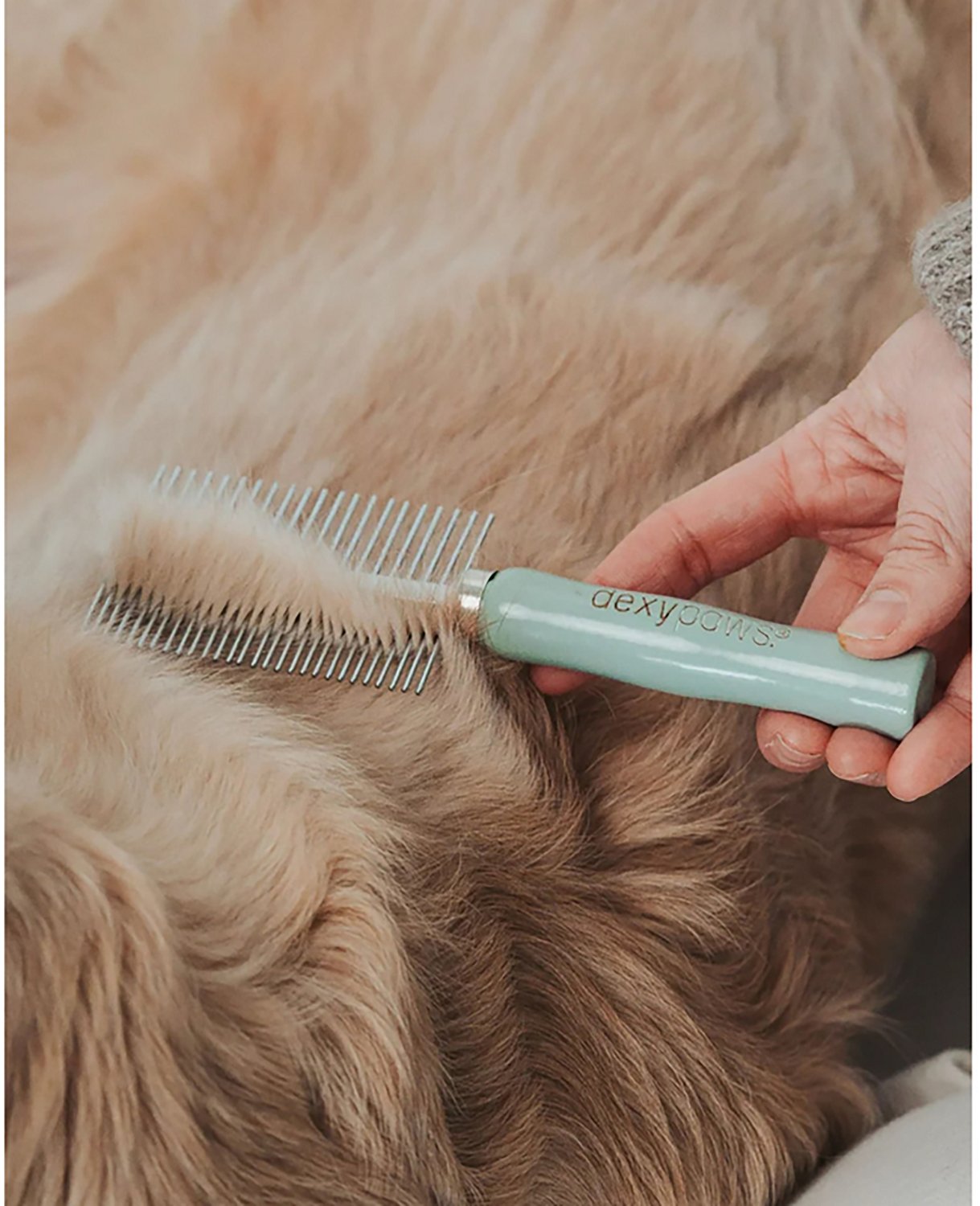Dexypaws Stainless Steel Pet Comb - view number 4