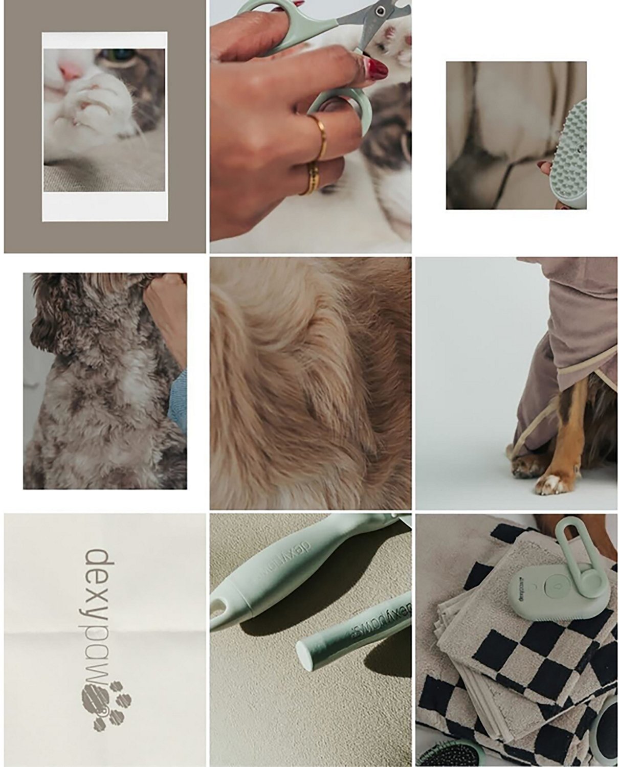Dexypaws Spritz and Brush Pet Comb - view number 7