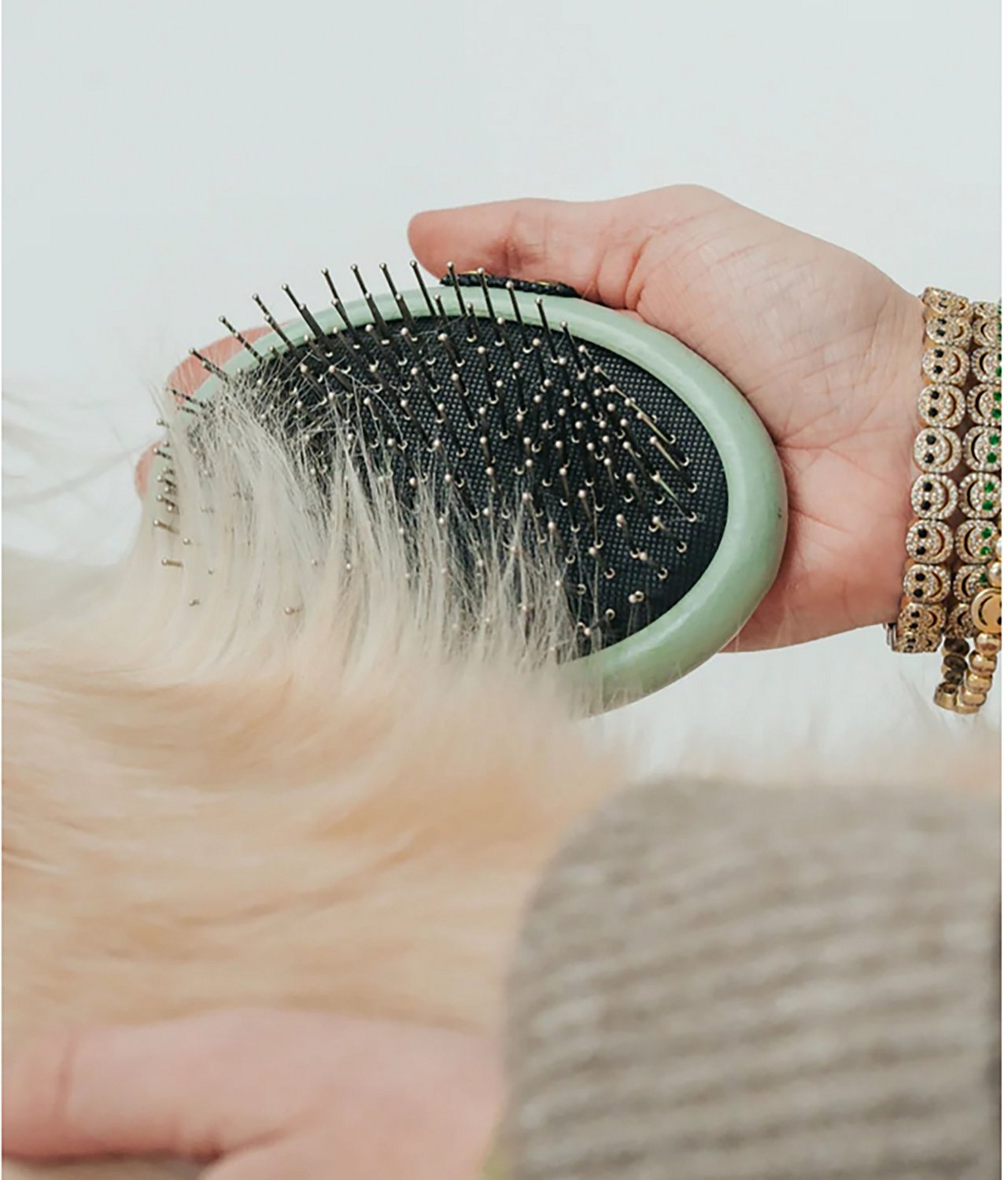 Dexypaws Pet Grooming Brush Palm