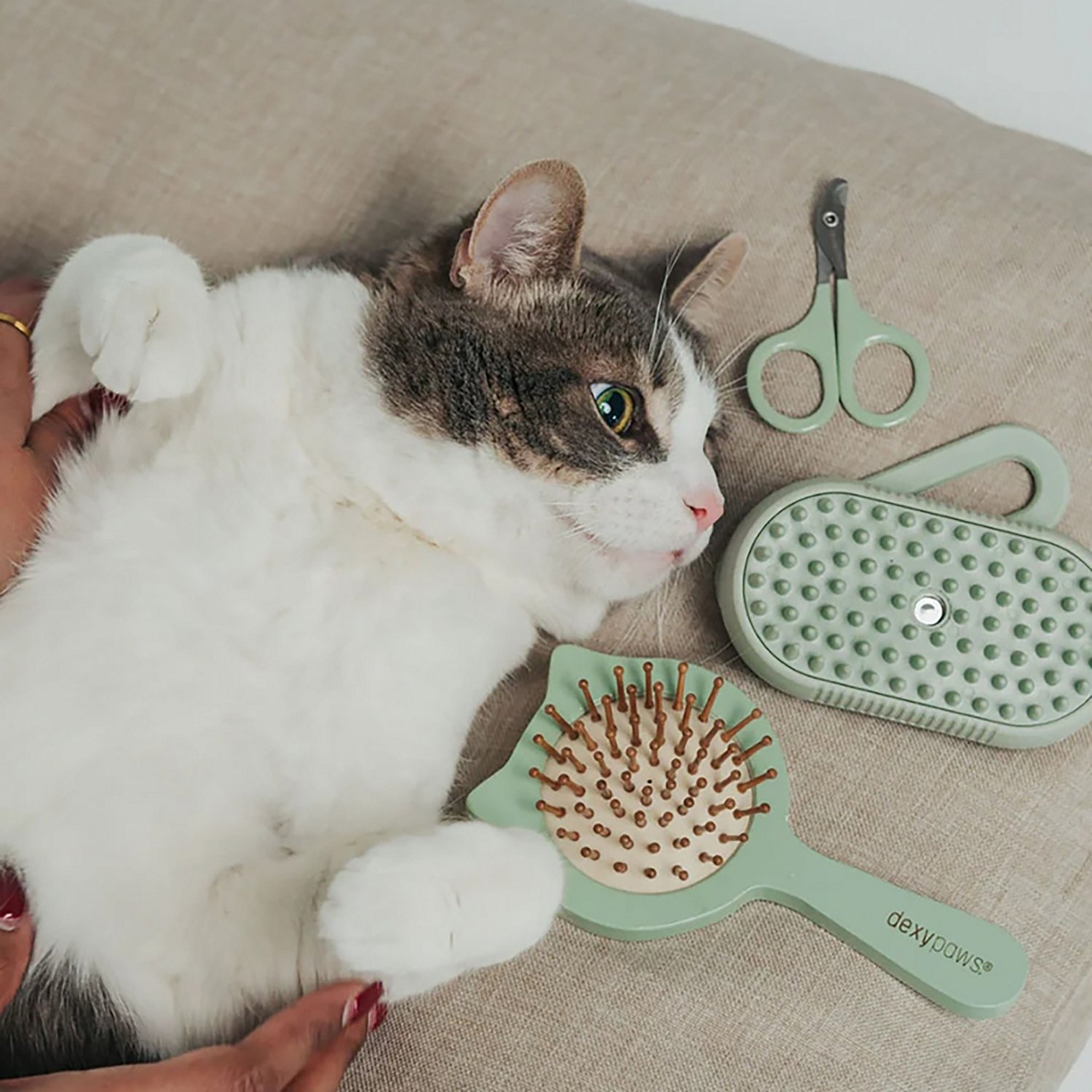 Dexypaws Cushioned Purrfect Massage Pet Brush - view number 2