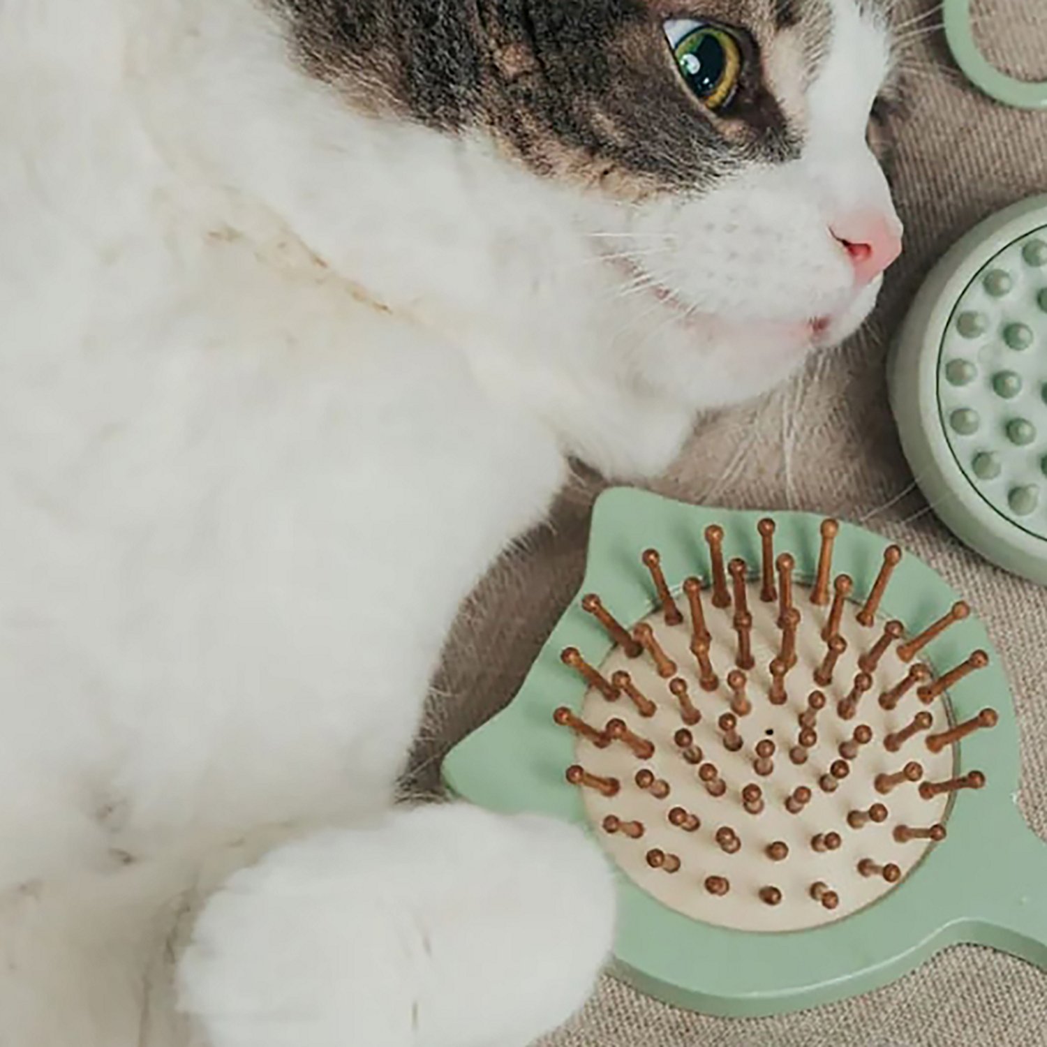 Dexypaws Cushioned Purrfect Massage Pet Brush - view number 6