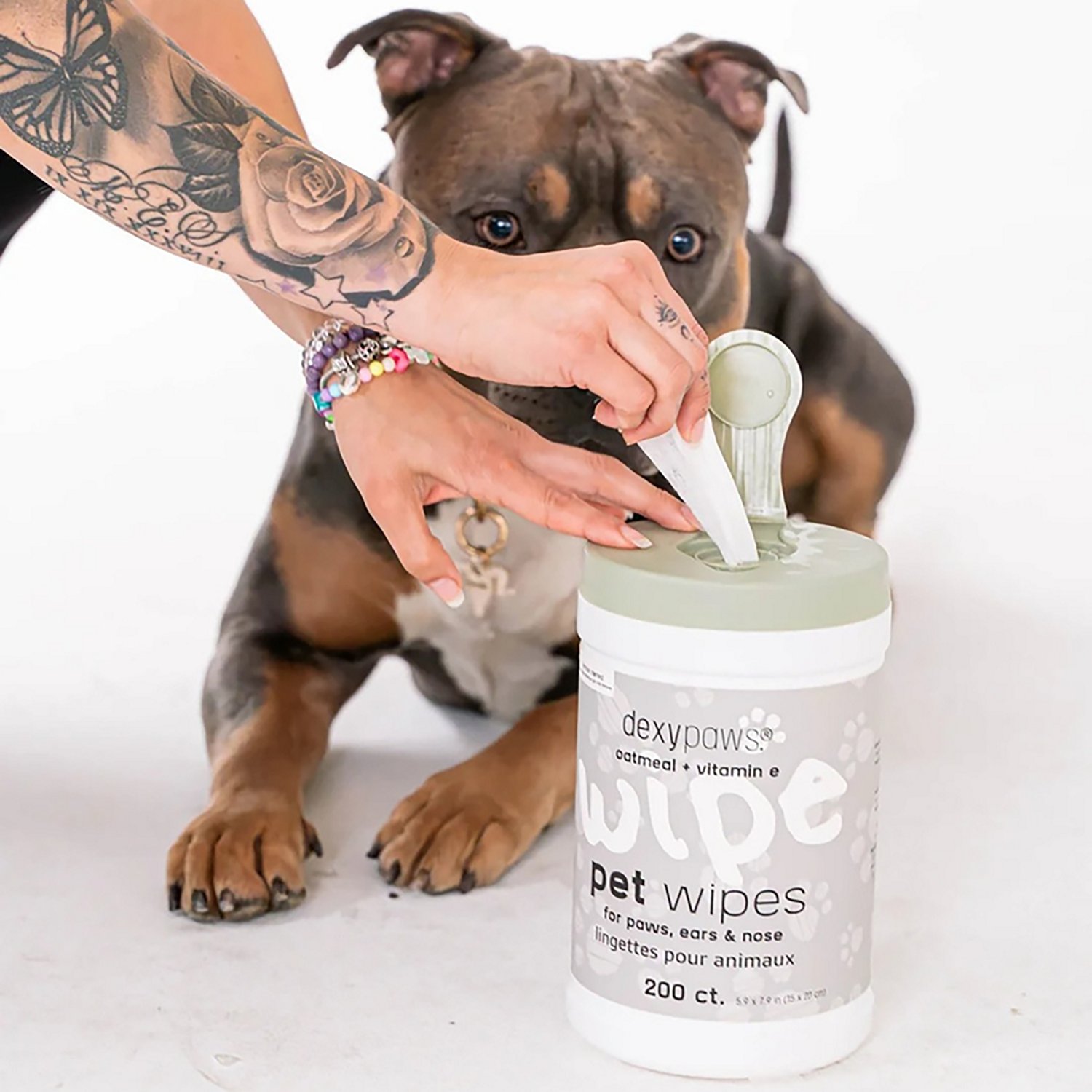 Dexypaws Oatmeal and Vitamin E Pet Wipes 200-Count - view number 2