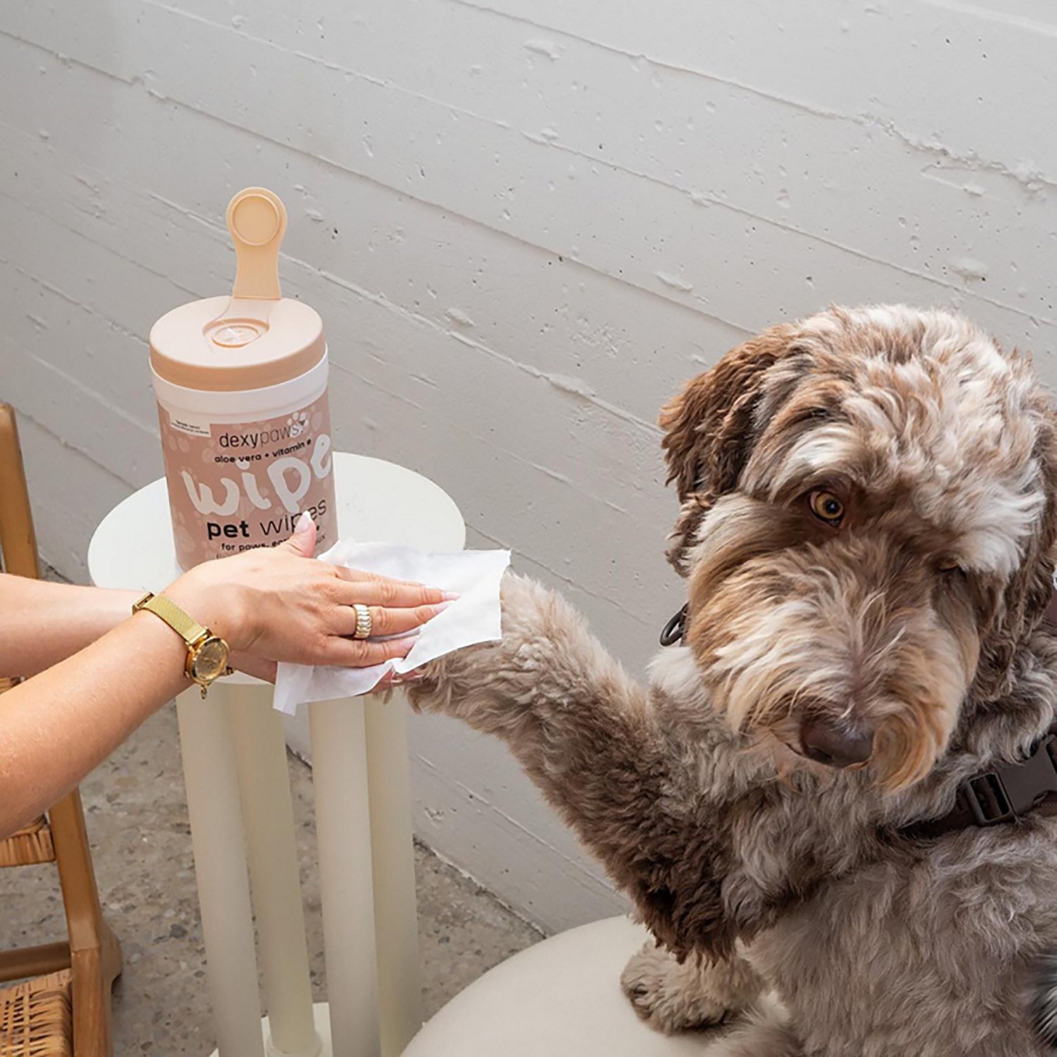 Dexypaws Lavender Cleansing Wipes Canister - view number 6