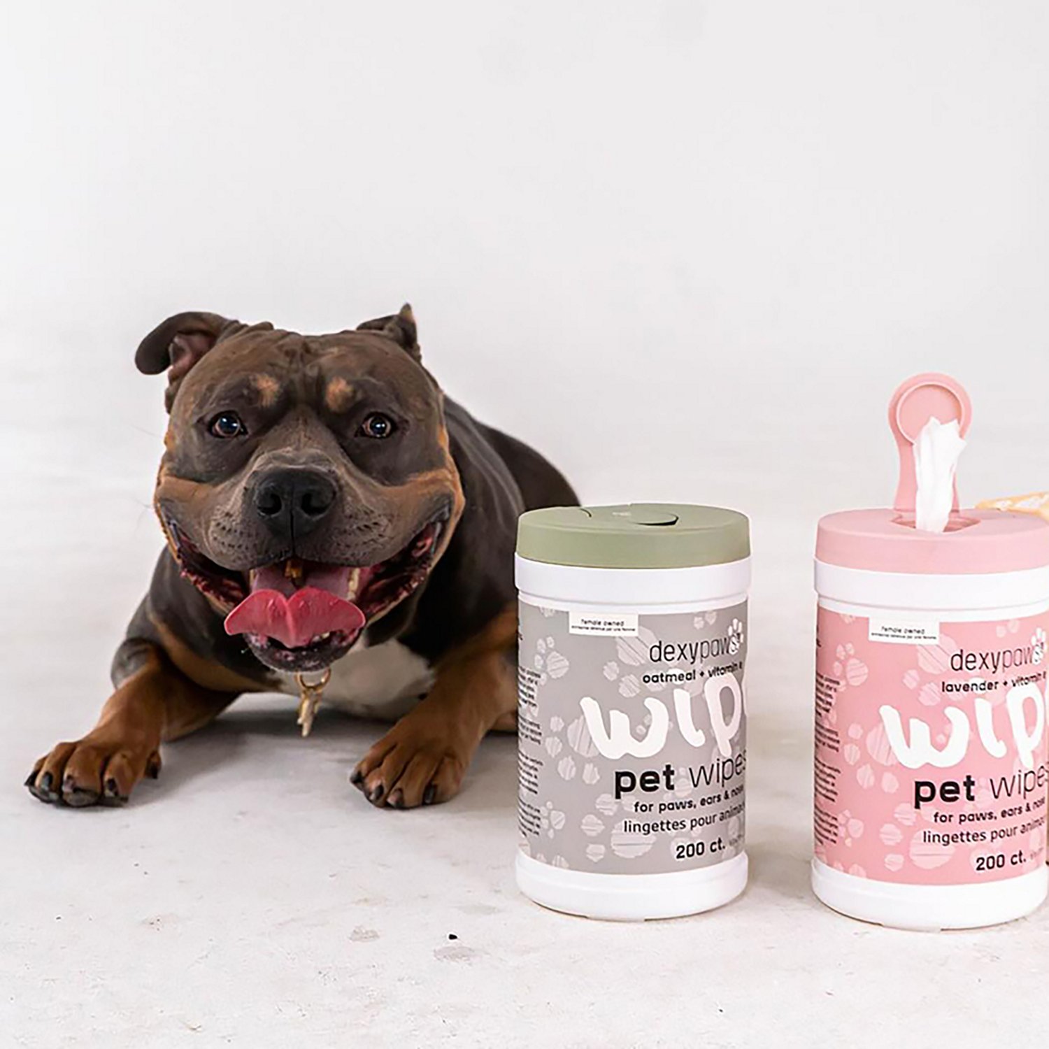 Dexypaws Lavender Cleansing Wipes Canister - view number 7
