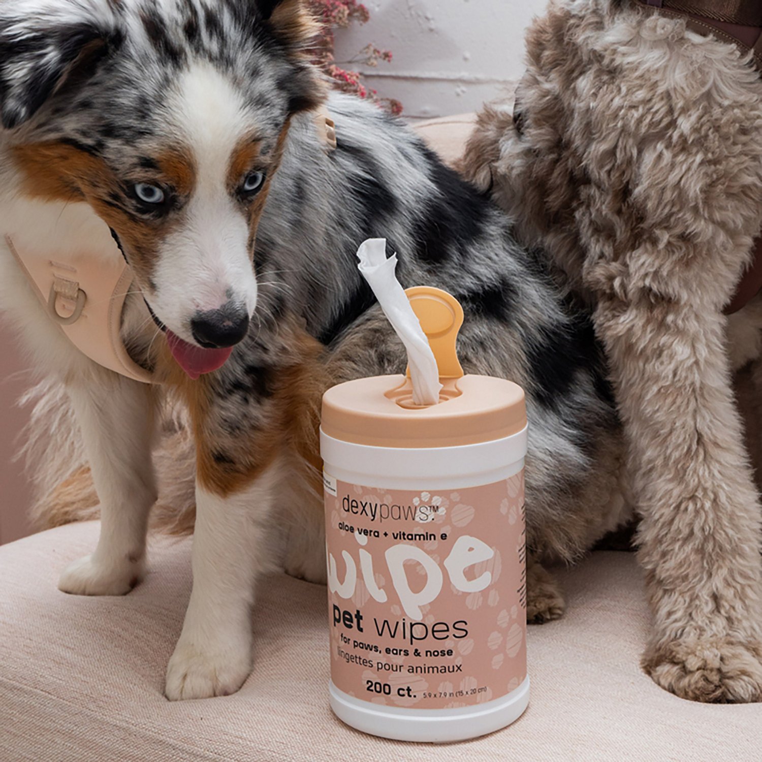 Dexypaws Cleansing Wipes Canister - view number 3