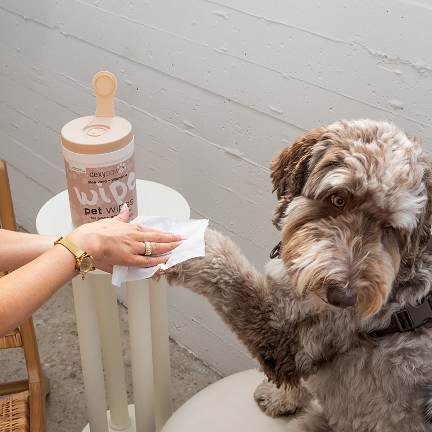 Dexypaws Cleansing Wipes Canister - view number 4