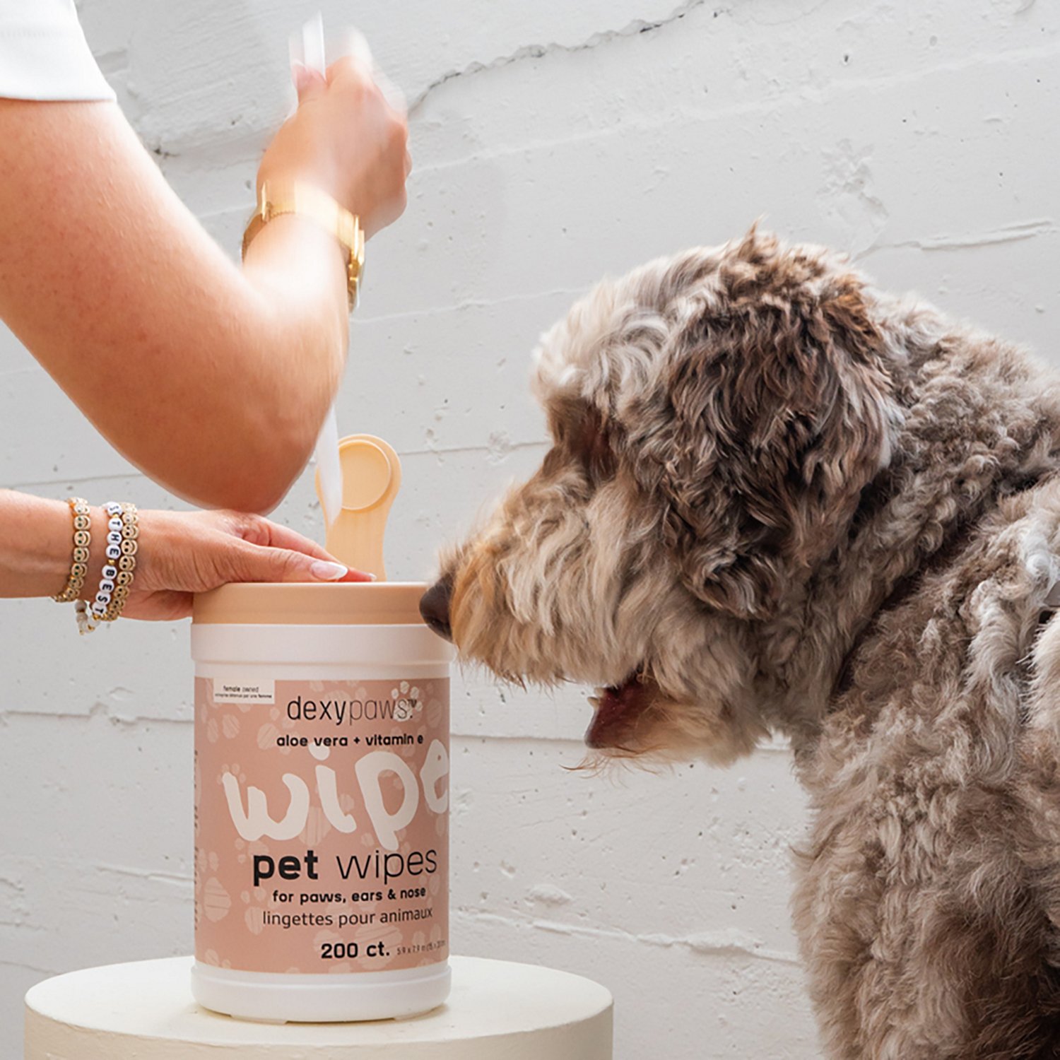 Dexypaws Cleansing Wipes Canister - view number 5