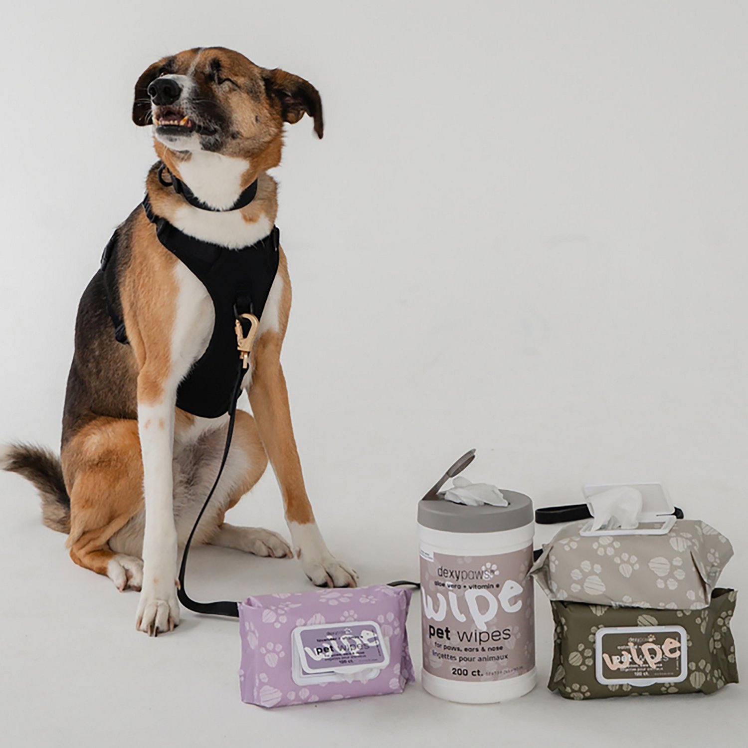 Dexypaws Cleansing Wipes Canister - view number 6