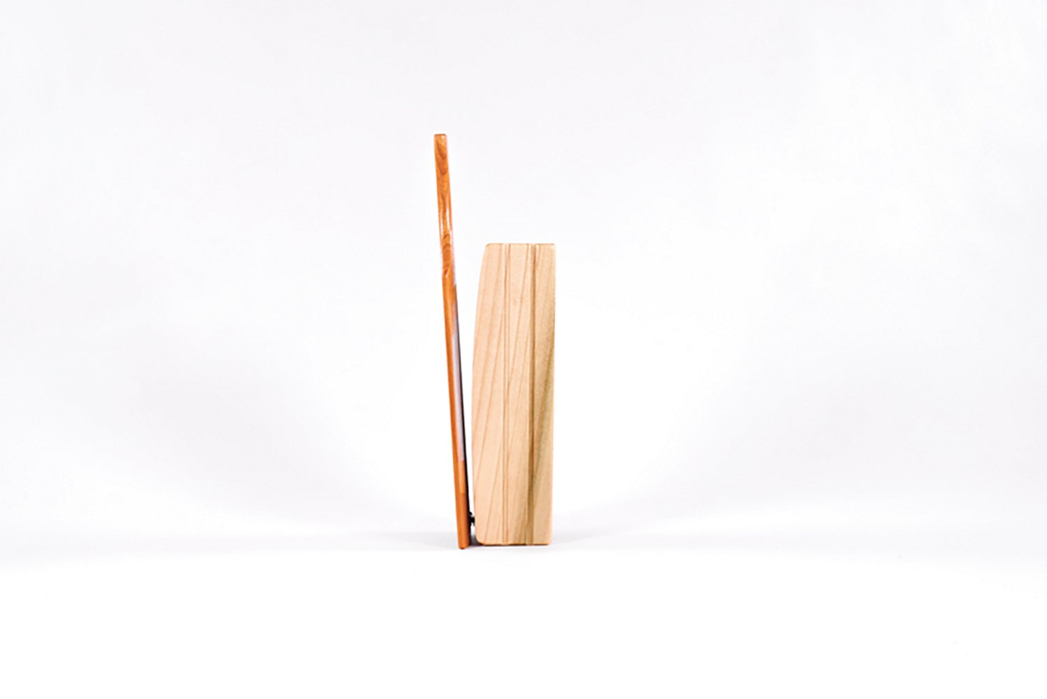 FOXPRO Poplar Waterproof Box Call - view number 4