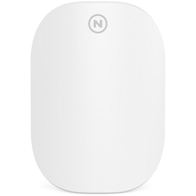 Nebo Flying Insect …