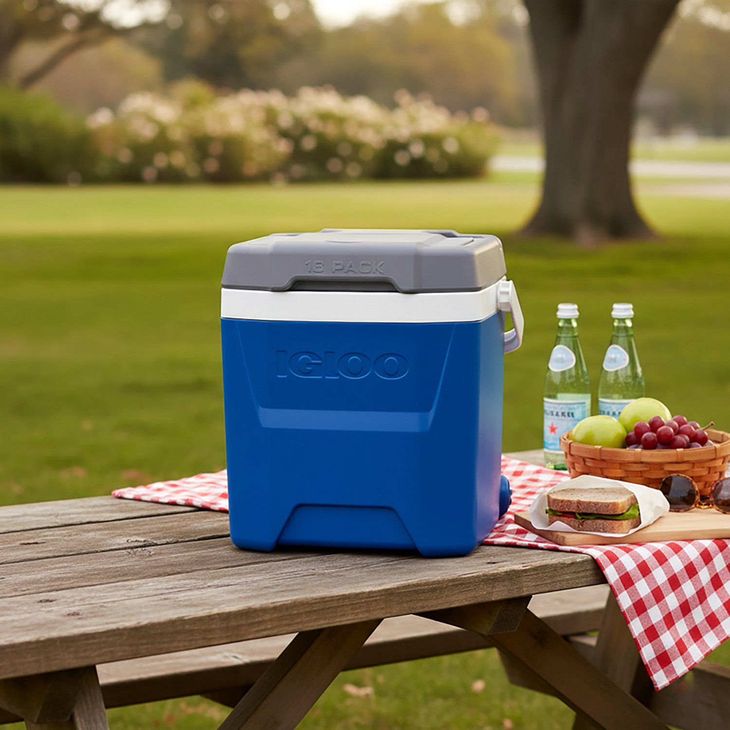 Igloo Quantum Hybrid 12 qt Cooler