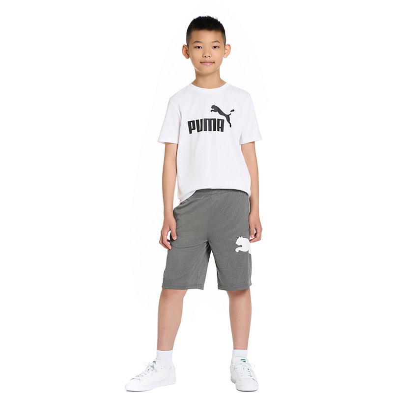 PUMA Big Kid Boys Crew Neck Short Sleeve Classic Fit Graphic T-Shirt, X-large (18-20), White