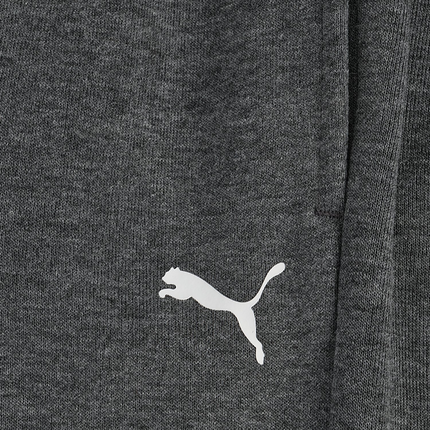 PUMA Boys’ Essentials Basics Poly Fleece Joggers - view number 3