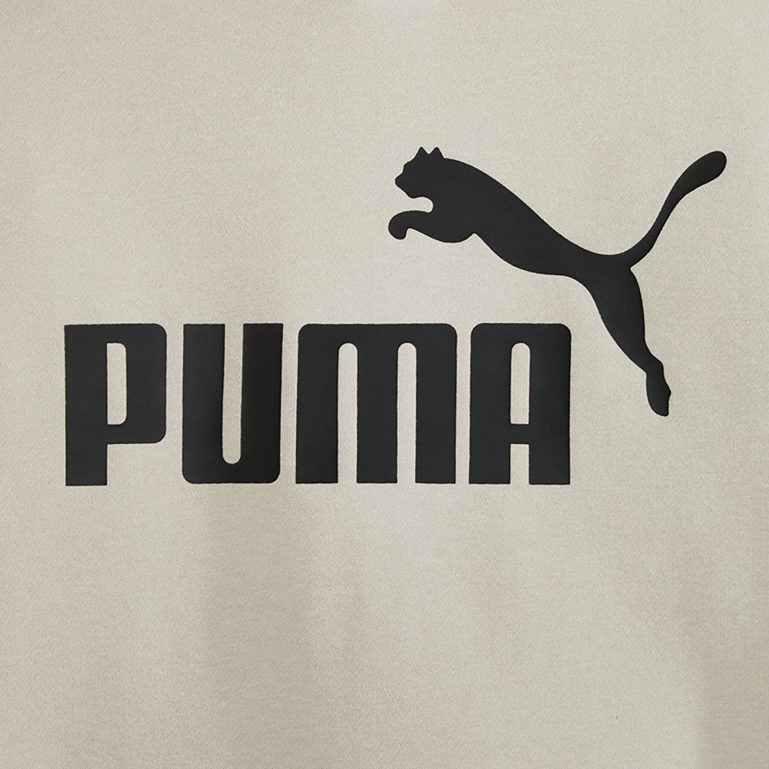 PUMA Boys’ Foundations No 1 Logo Fleece PO Hoodie - view number 4
