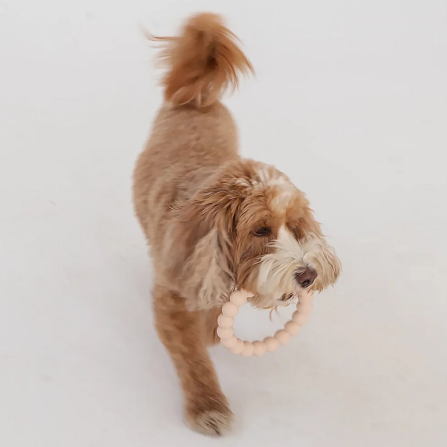 Dexypaws Super Chew Rings 2-Pack - view number 4