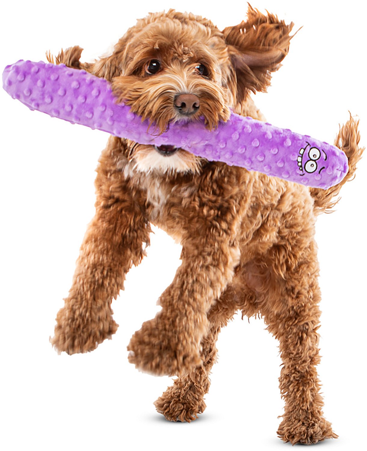 GURU Pet Fry Guy Chew Toy Set 5-piece