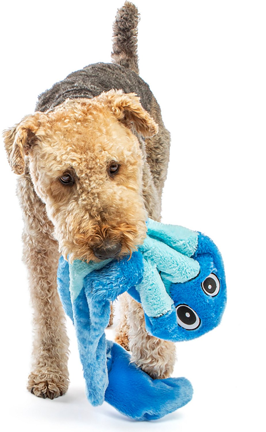 GURU Pet Hide-A-Tail Snake Dog Toy - view number 3