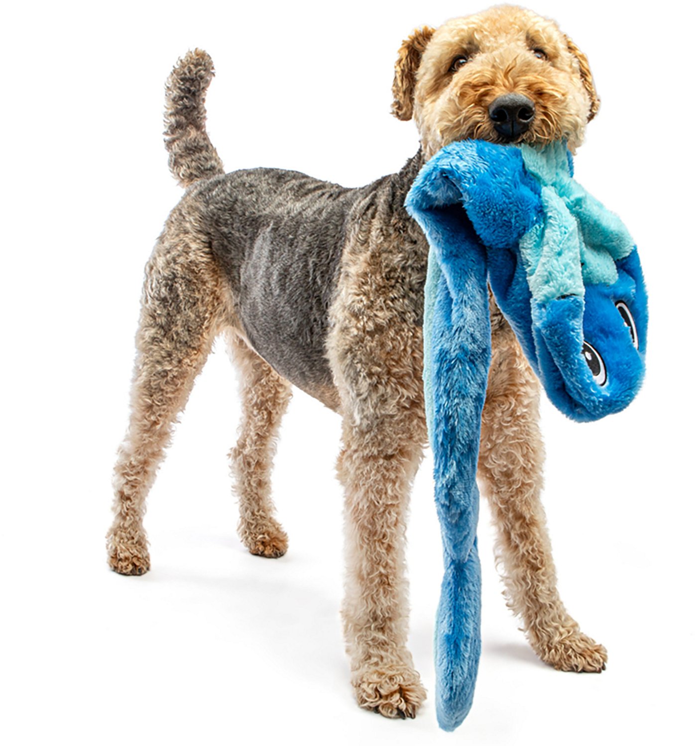 GURU Pet Hide-A-Tail Snake Dog Toy - view number 4