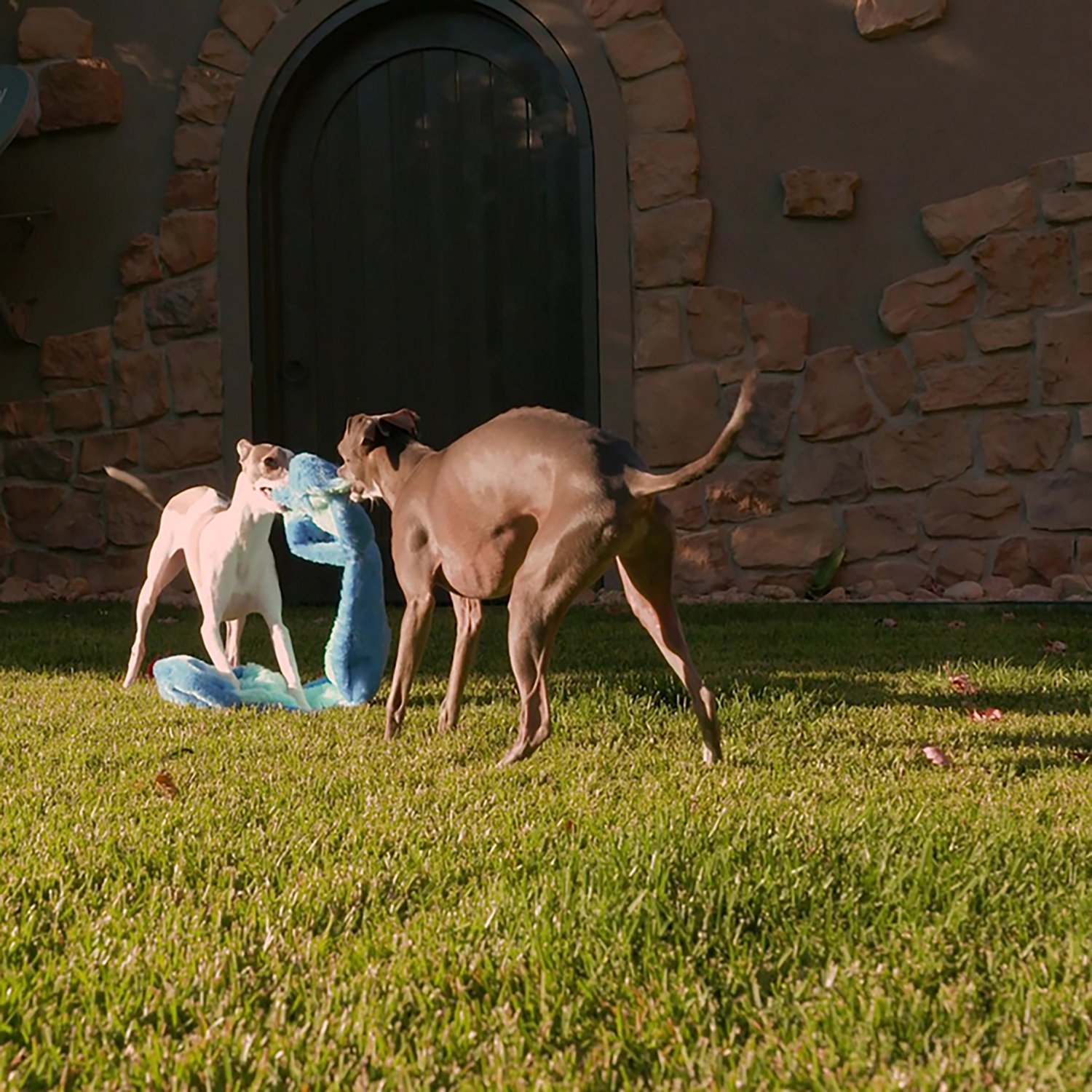 GURU Pet Hide-A-Tail Snake Dog Toy - view number 5