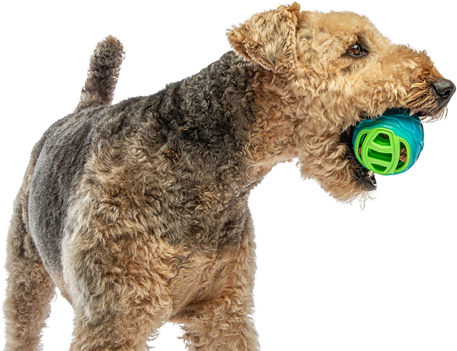 GURU Pet Pocket Ball - view number 3