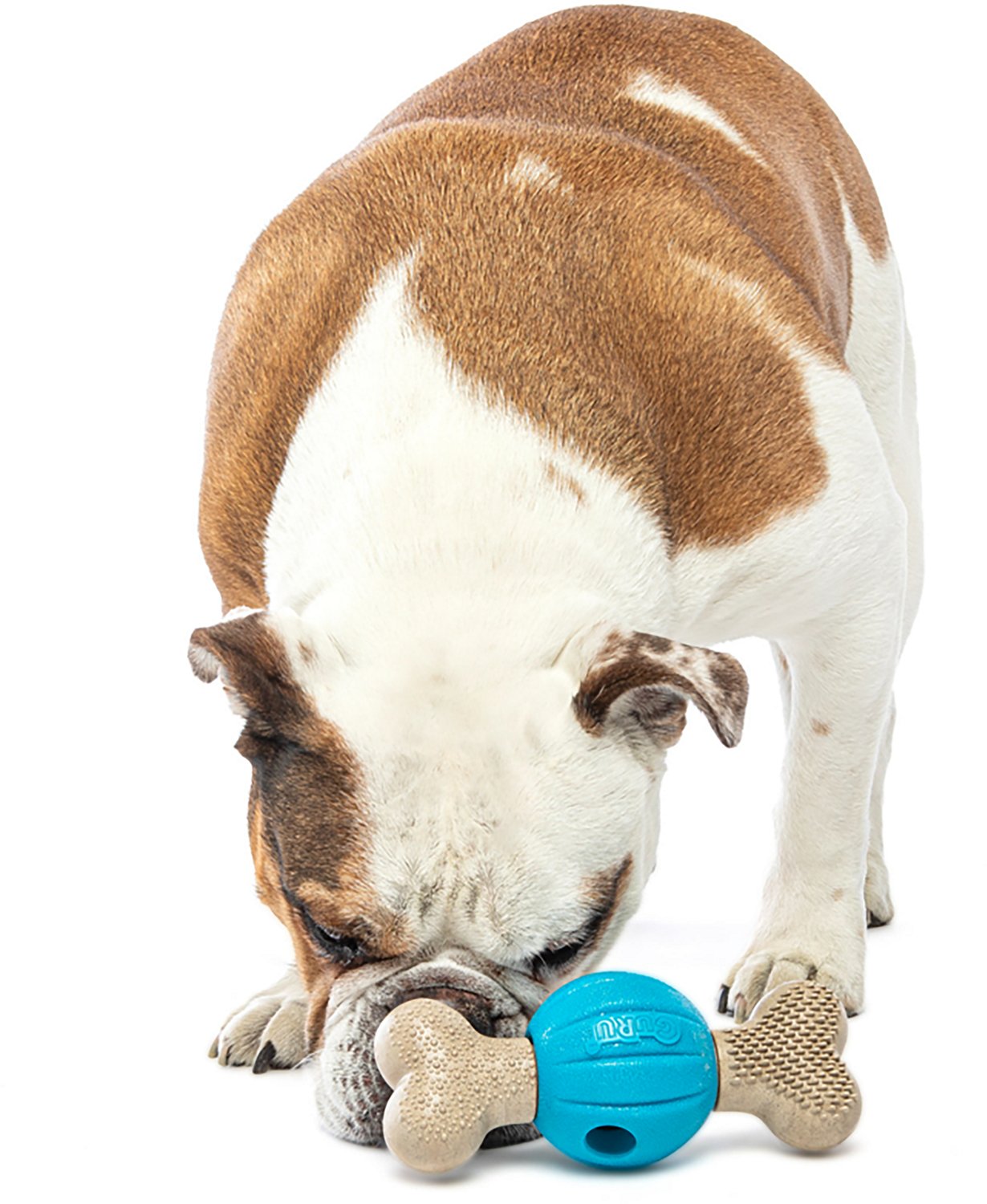 GURU Pet Spin & Chew Bone - view number 4