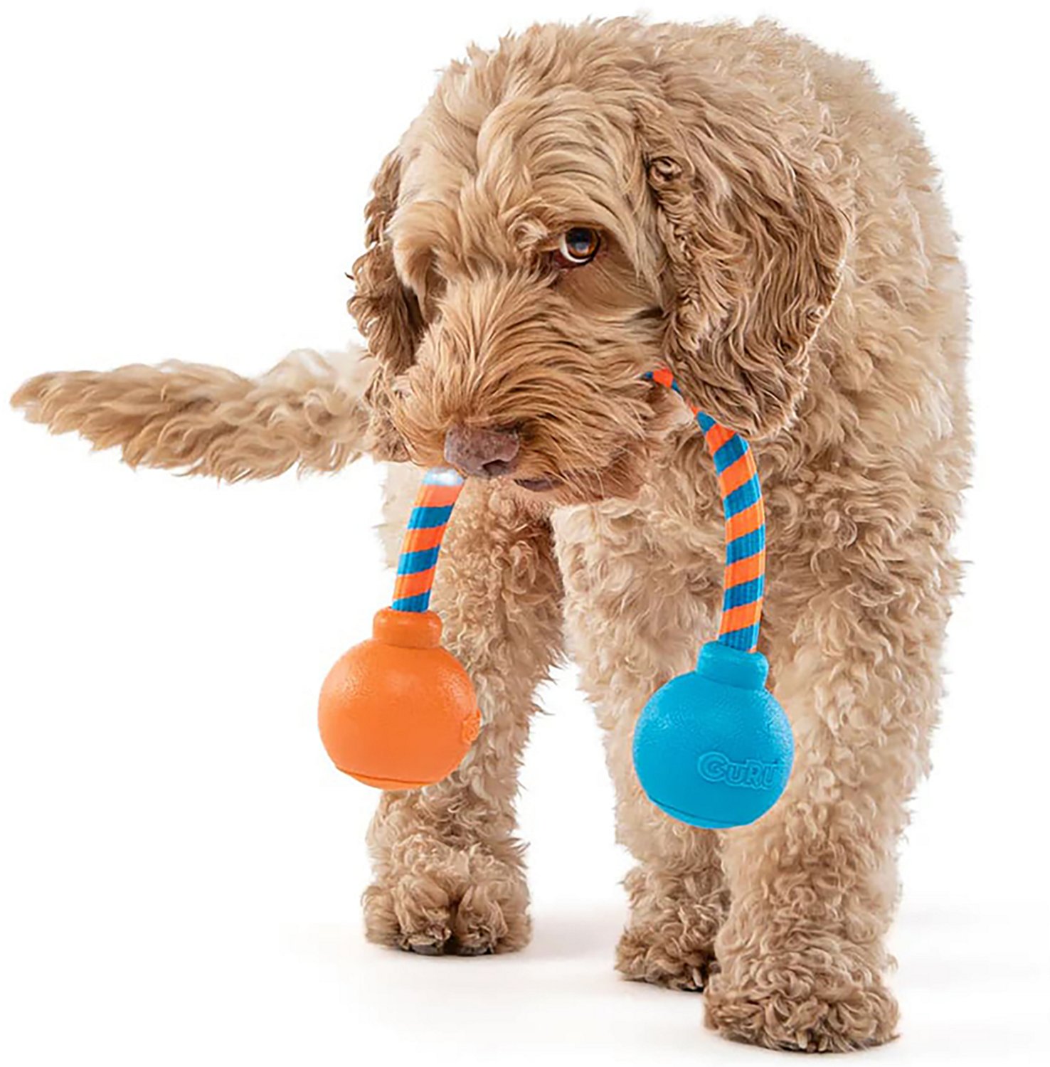 GURU Pet Squeaking Rope Dog Toy - view number 3