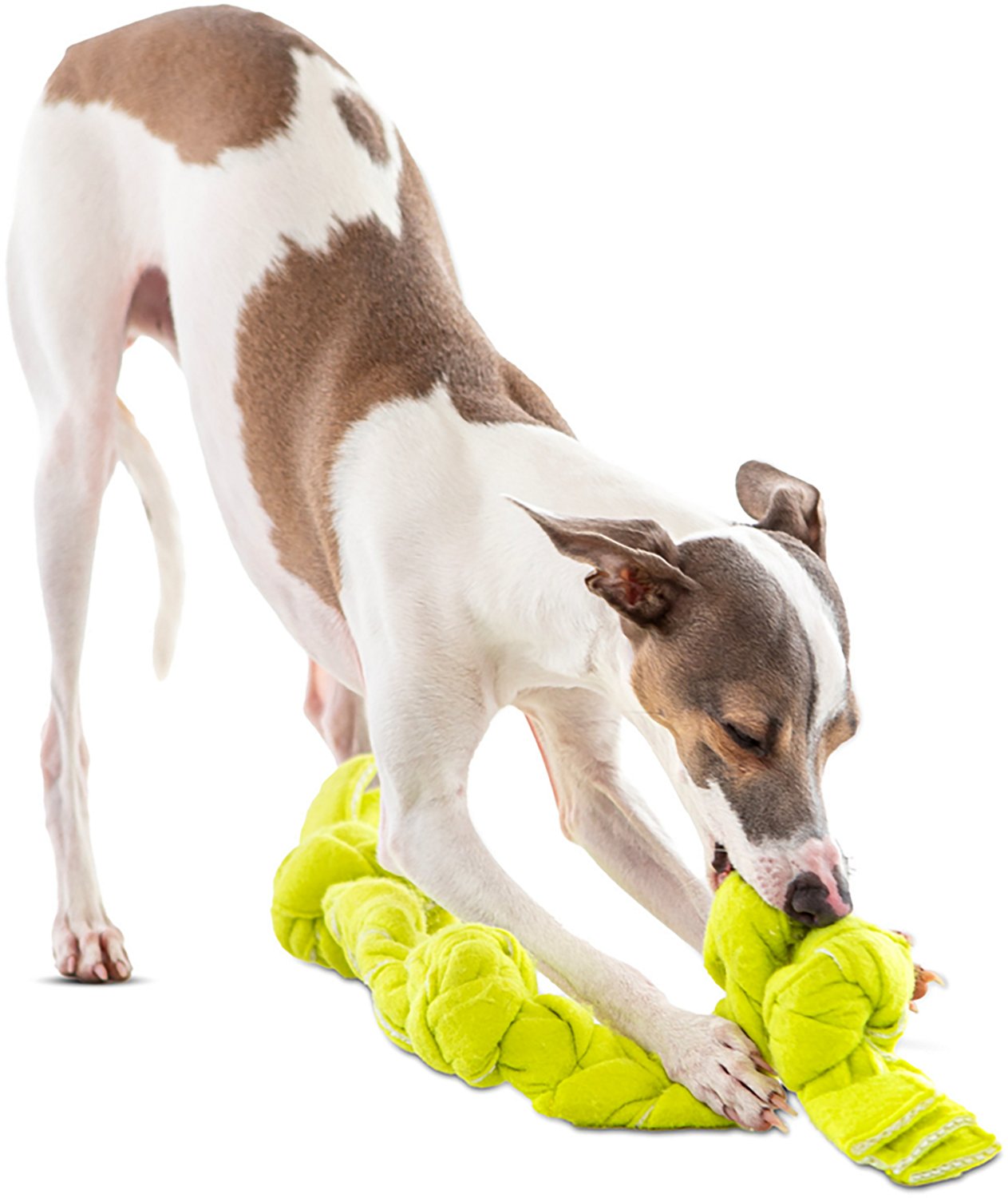 GURU Pet Squeaking Tennis Snuffle Rope Dog Toy - view number 4