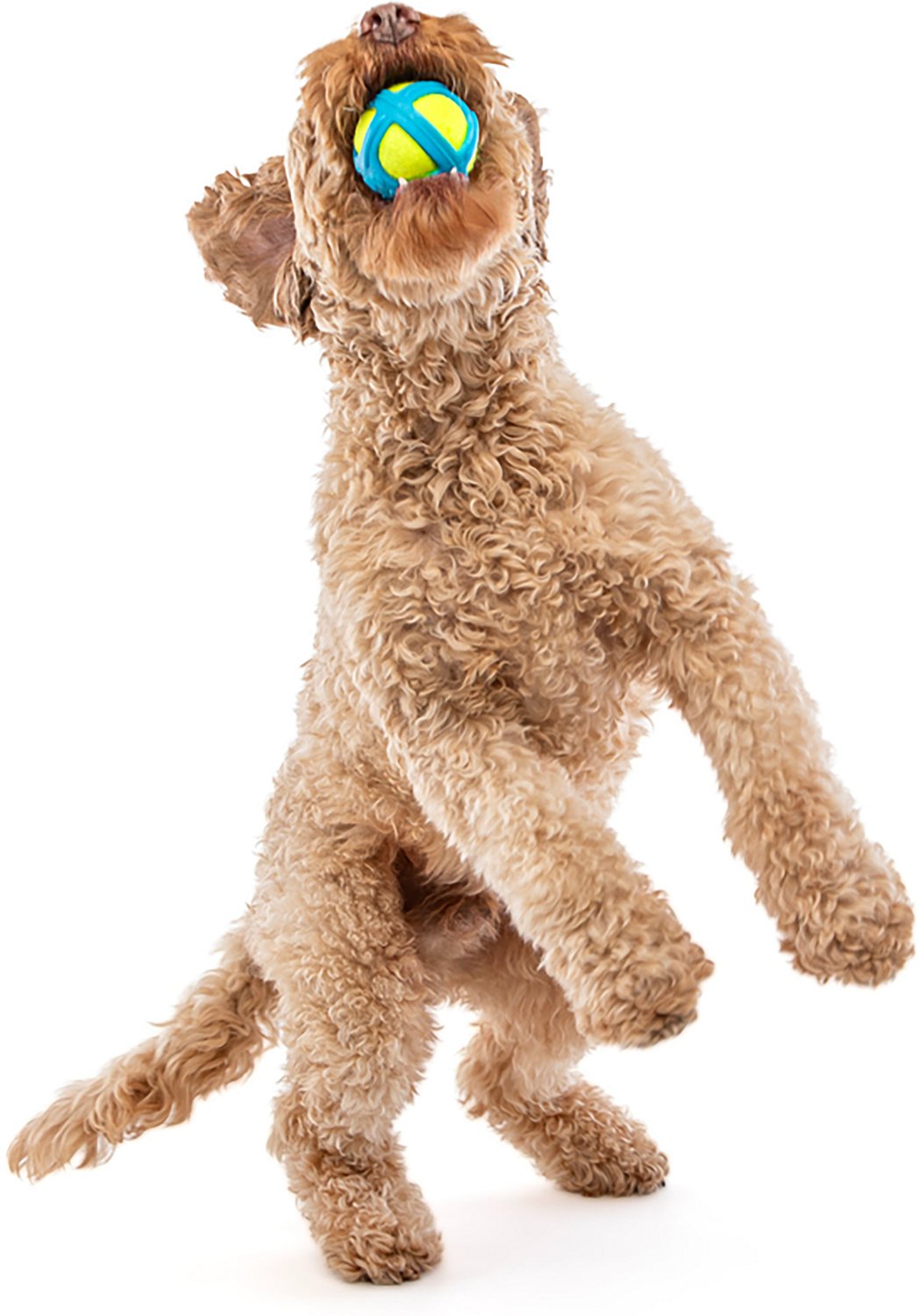 GURU Pet Tennis Max Ball - view number 3