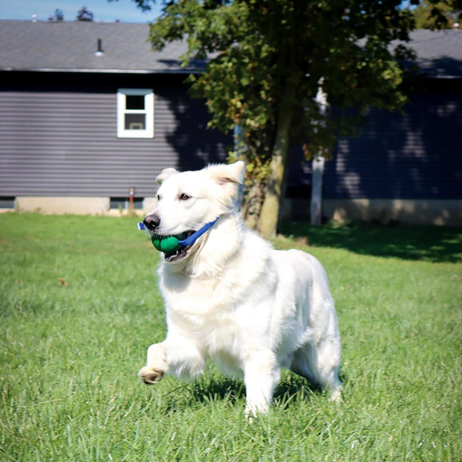 PetKORE FloTex Tug - view number 5