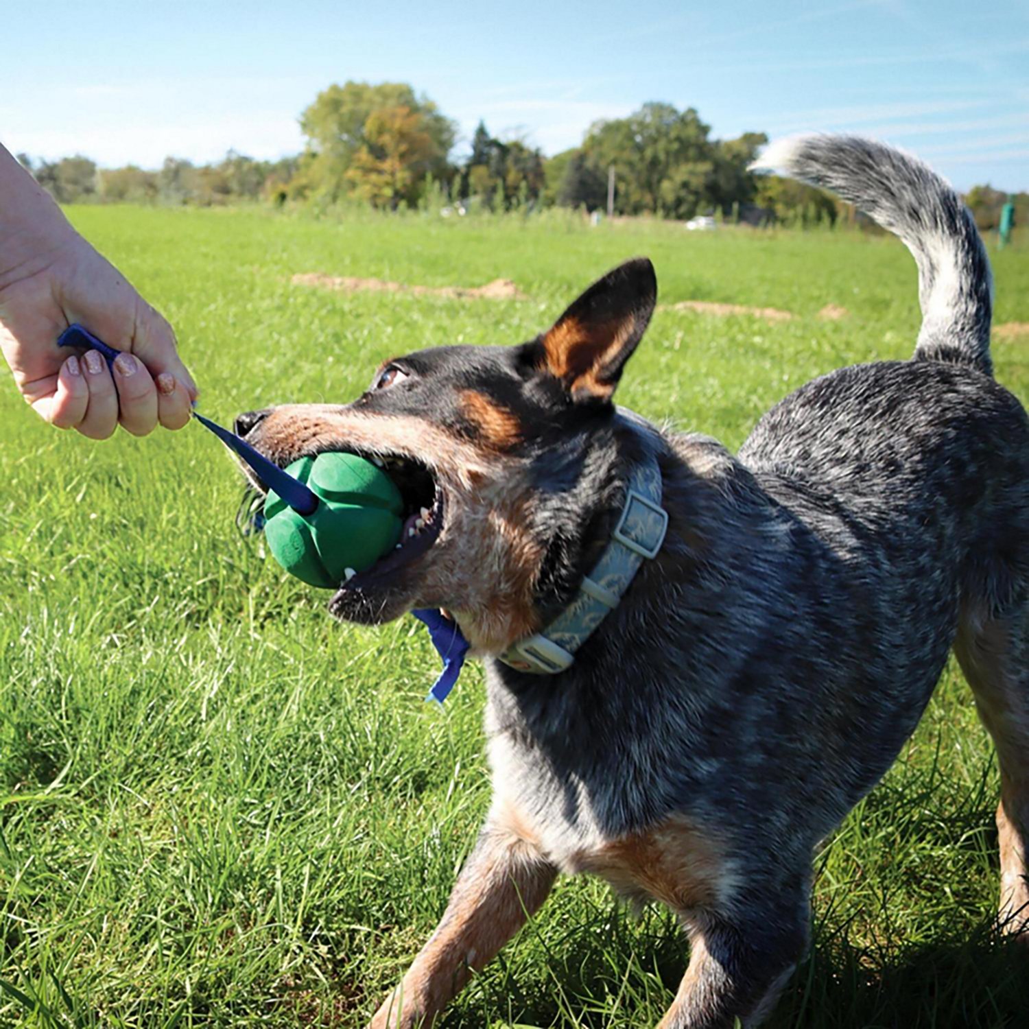 PetKORE FloTex Tug - view number 6