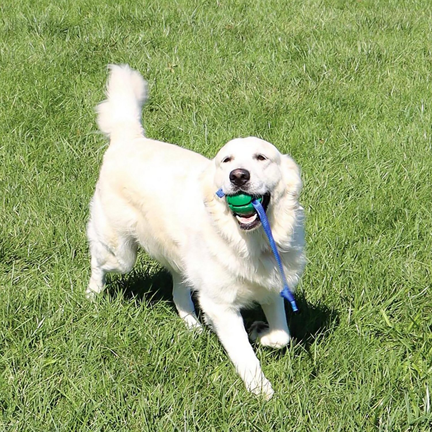 PetKORE FloTex Tug - view number 7