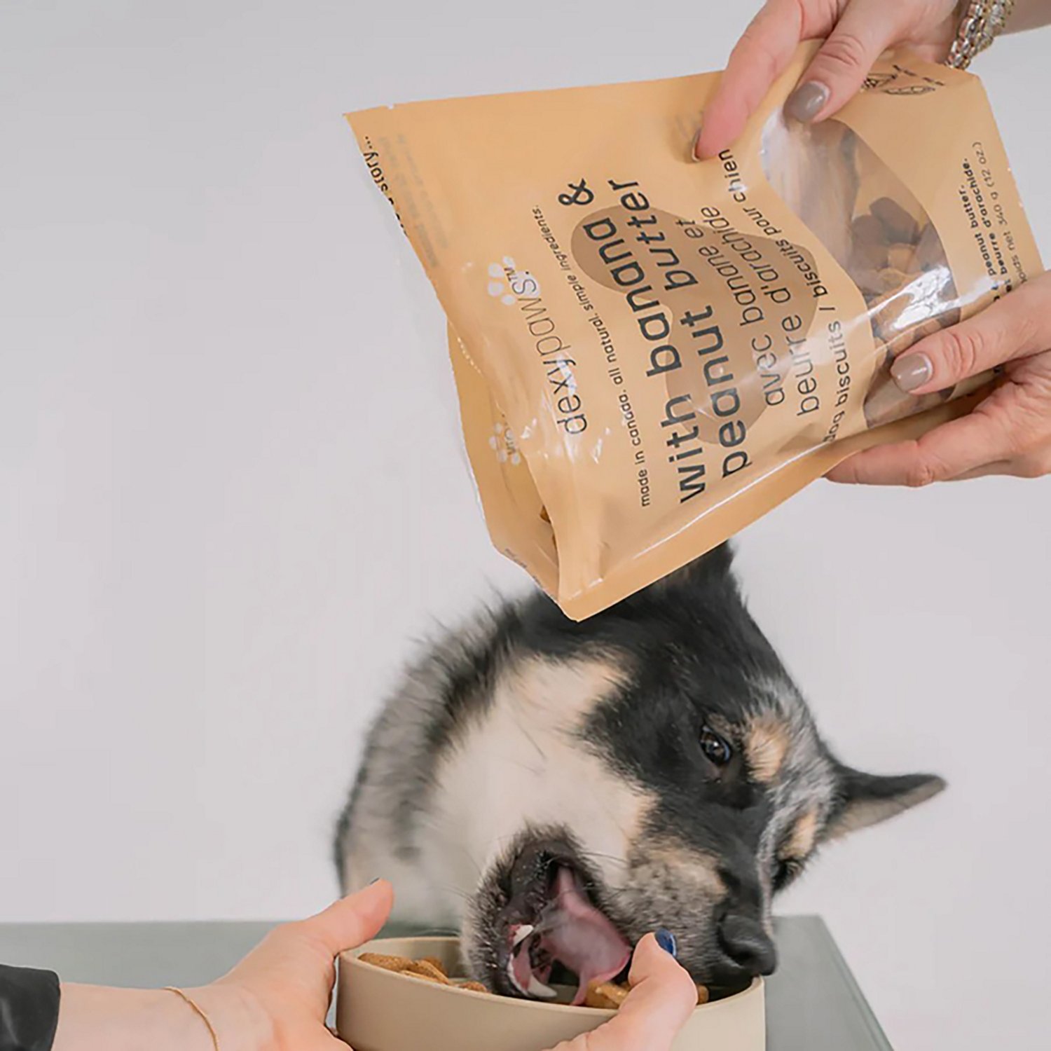 Dexypaws 12 oz. Dog Biscuits Bag - view number 5