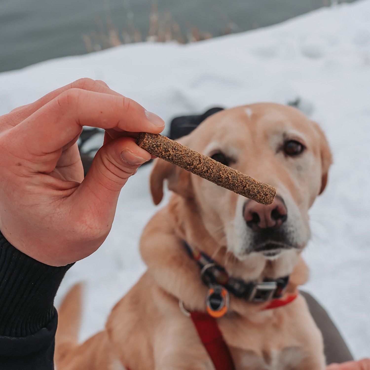 Dog Treat Naturals 10 oz. Superfood Sticks Bag - view number 4