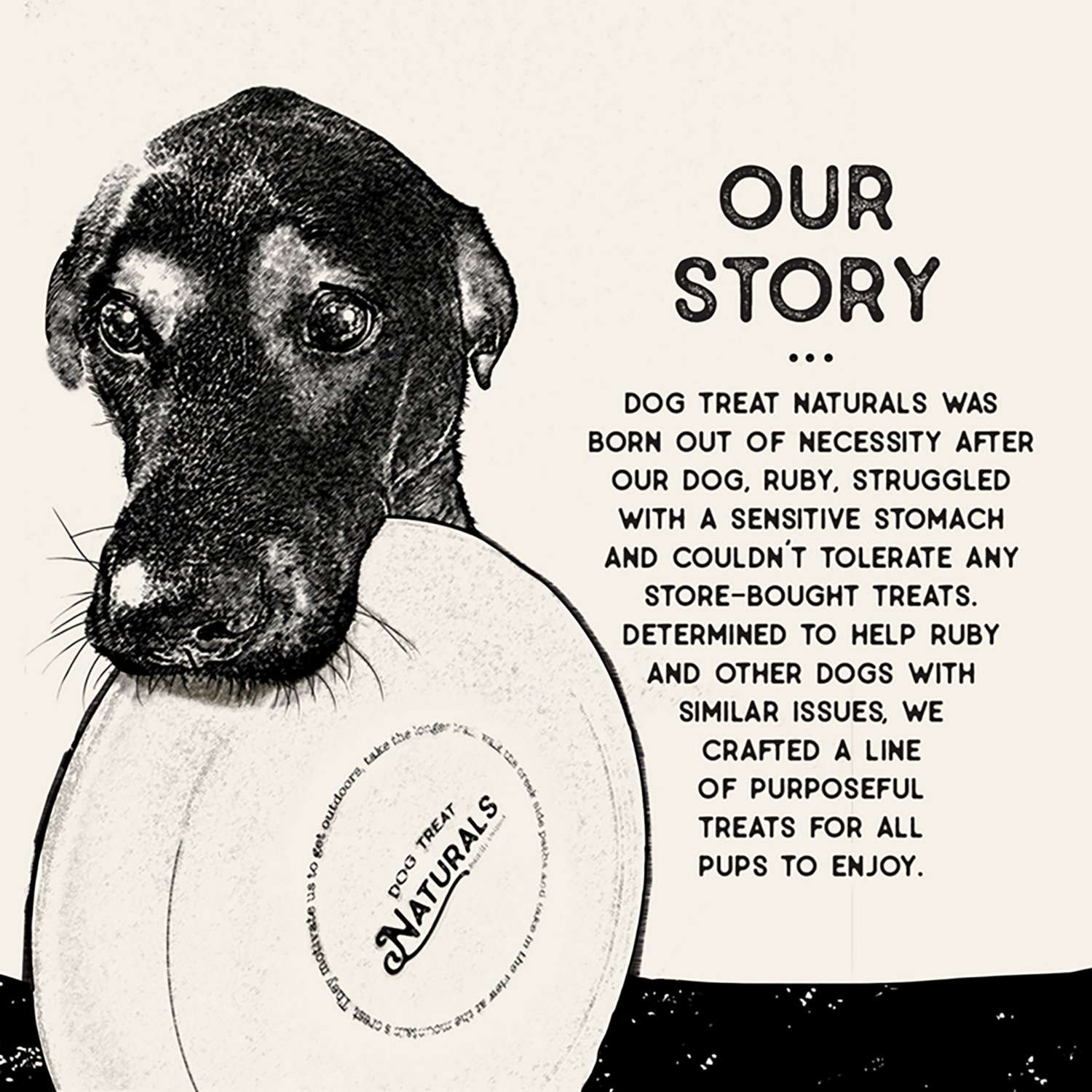 Dog Treat Naturals 10 oz. Superfood Sticks Bag - view number 6