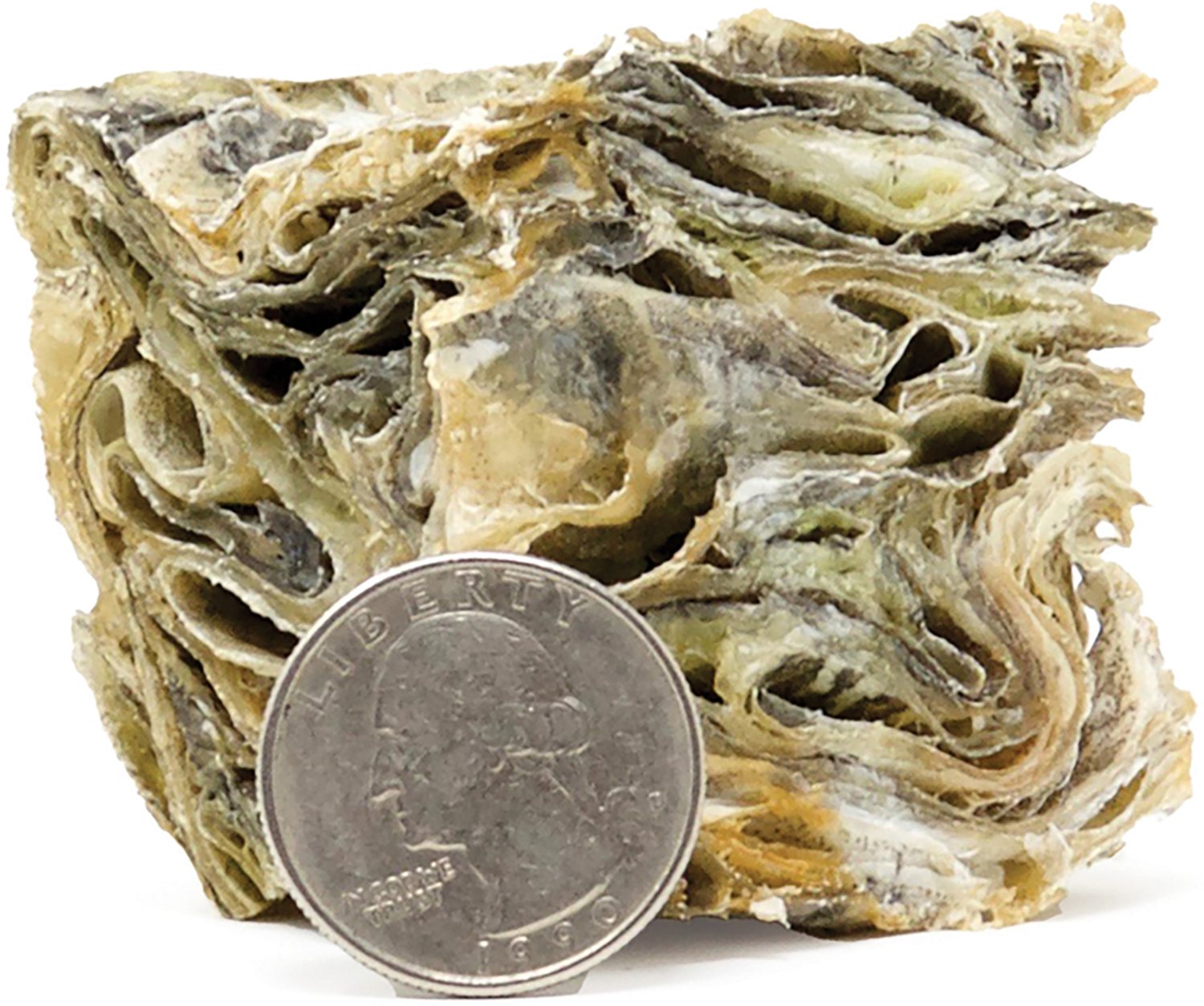 Icelandic+ 2" Cod Skin Cube Dog Treat - view number 3