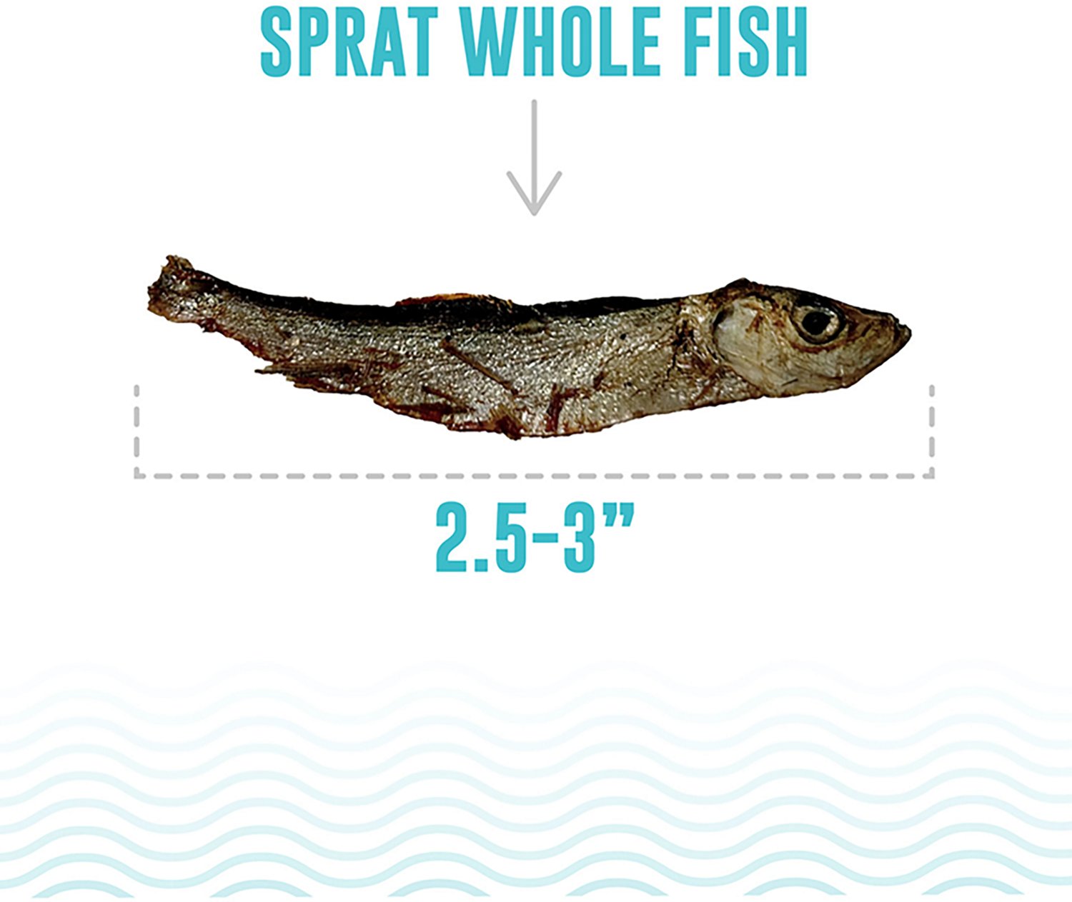 Icelandic+ 2 oz. Whole Fish Sprat - view number 3