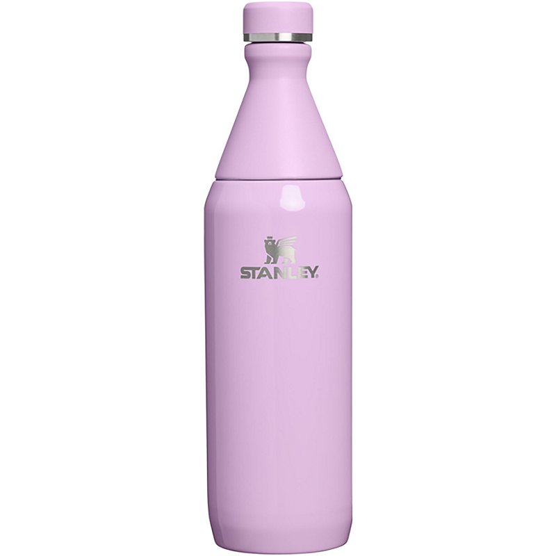 Stanley All Day 20 oz Slim Bottle