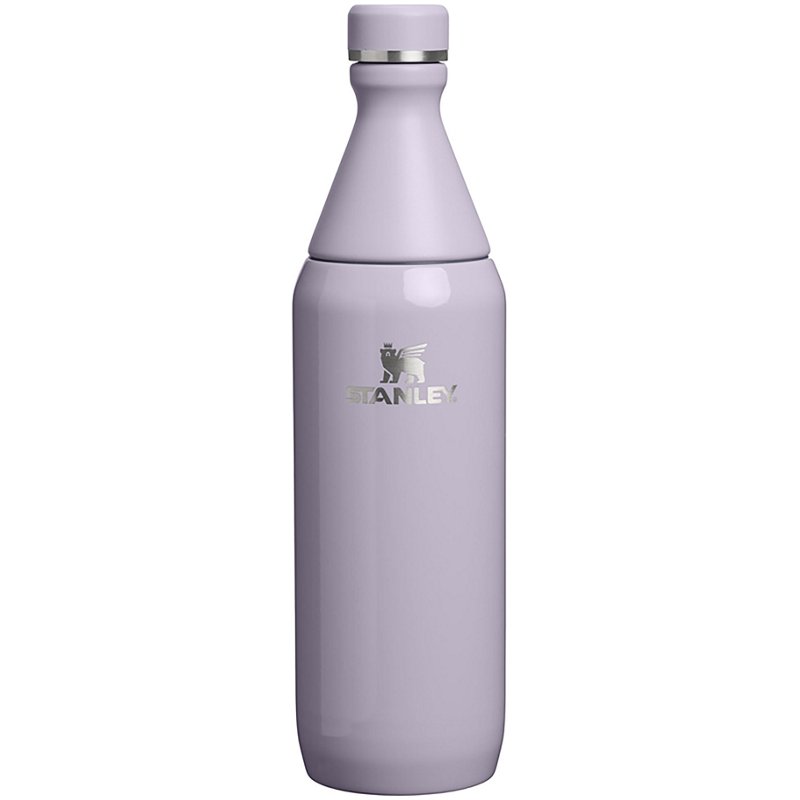 Stanley All Day 20 oz Slim Bottle