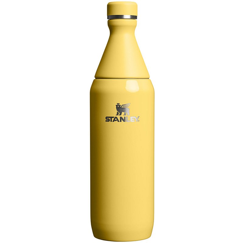 Stanley All Day 20 oz Slim Bottle