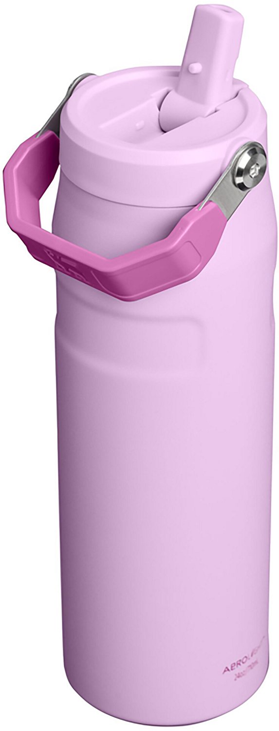 Stanley IceFlow 24 oz Bottle with Flip Straw Lid - view number 2