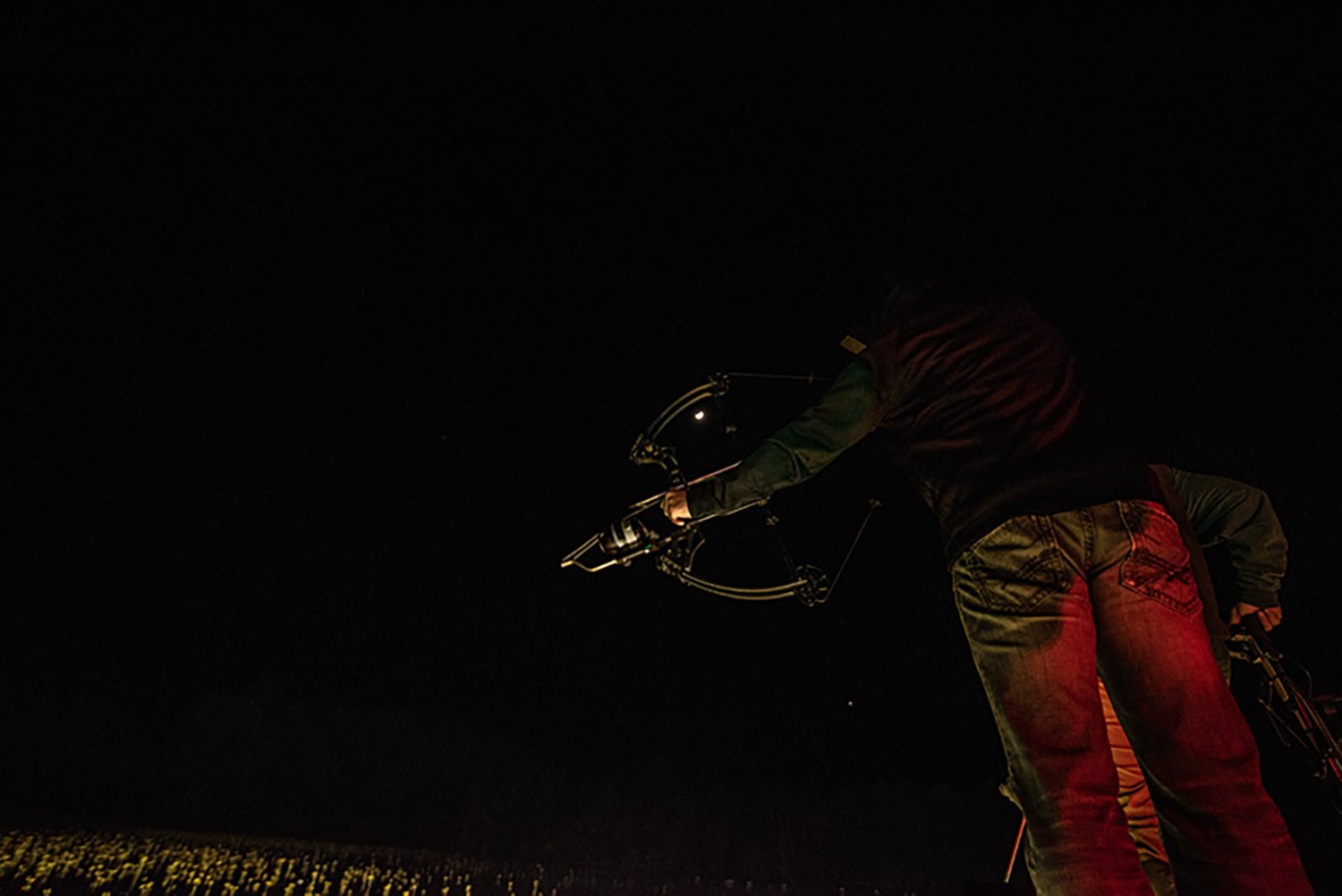 Muzzy Classic Arrow with Carp Point - view number 8