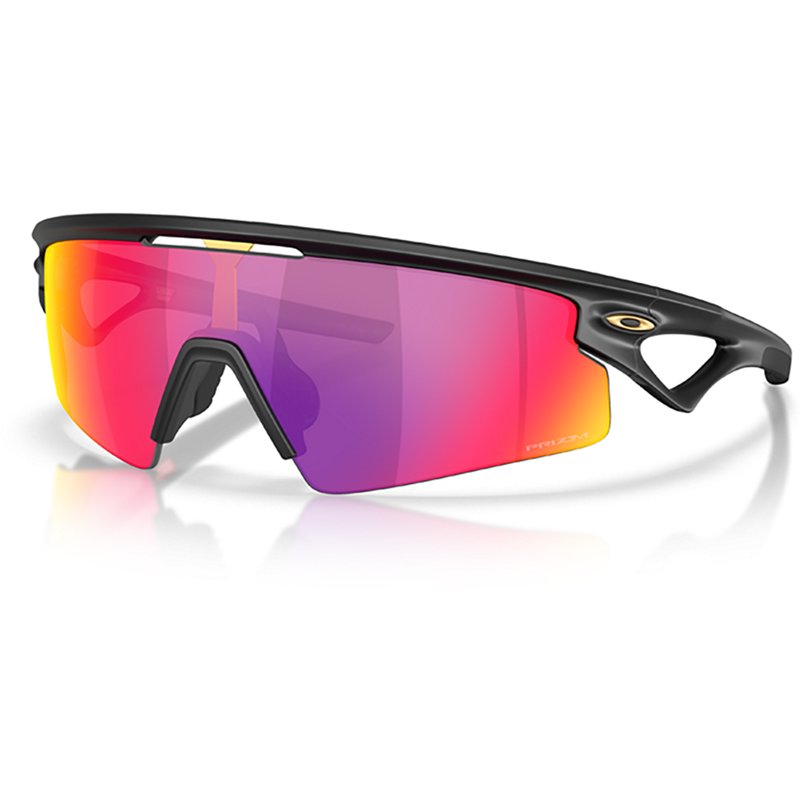 Oakley Adults' Spha…