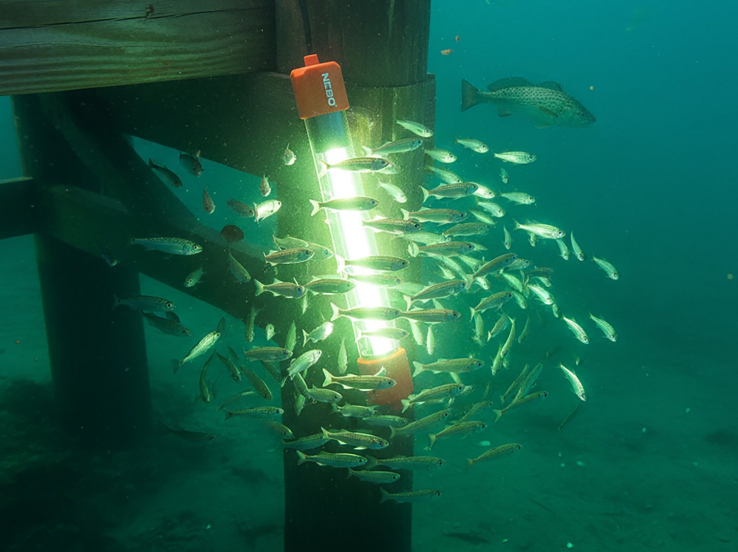 NEBO Submerser 800C LED Submersible Fishing Light - view number 2