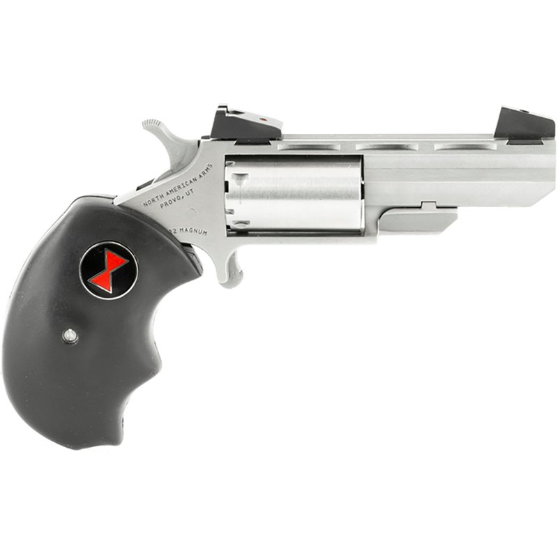 North American Arms…