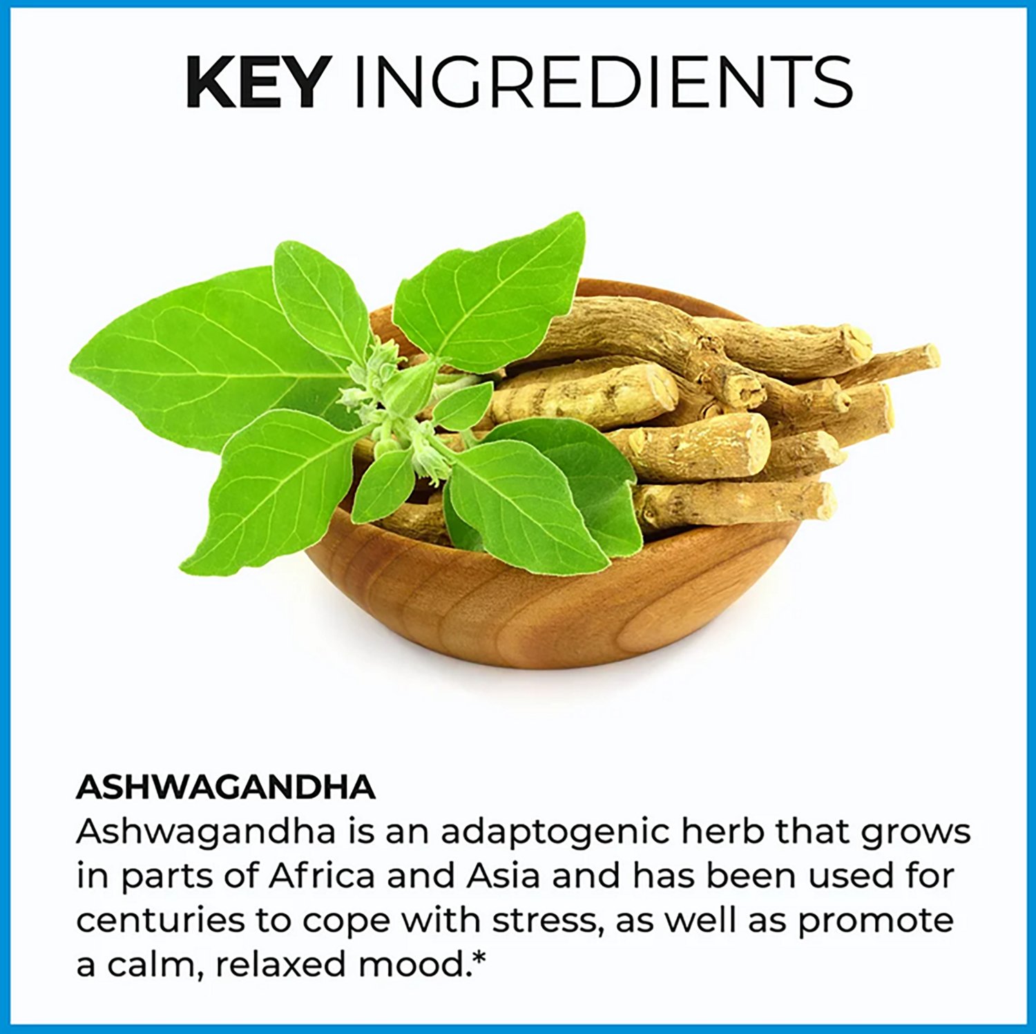 Vitamin World Ashwagandha Gummies 60-count - view number 4