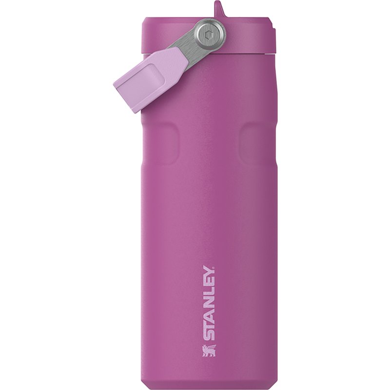 Stanley IceFlow 16 oz. Flip Straw Lid Water Bottle