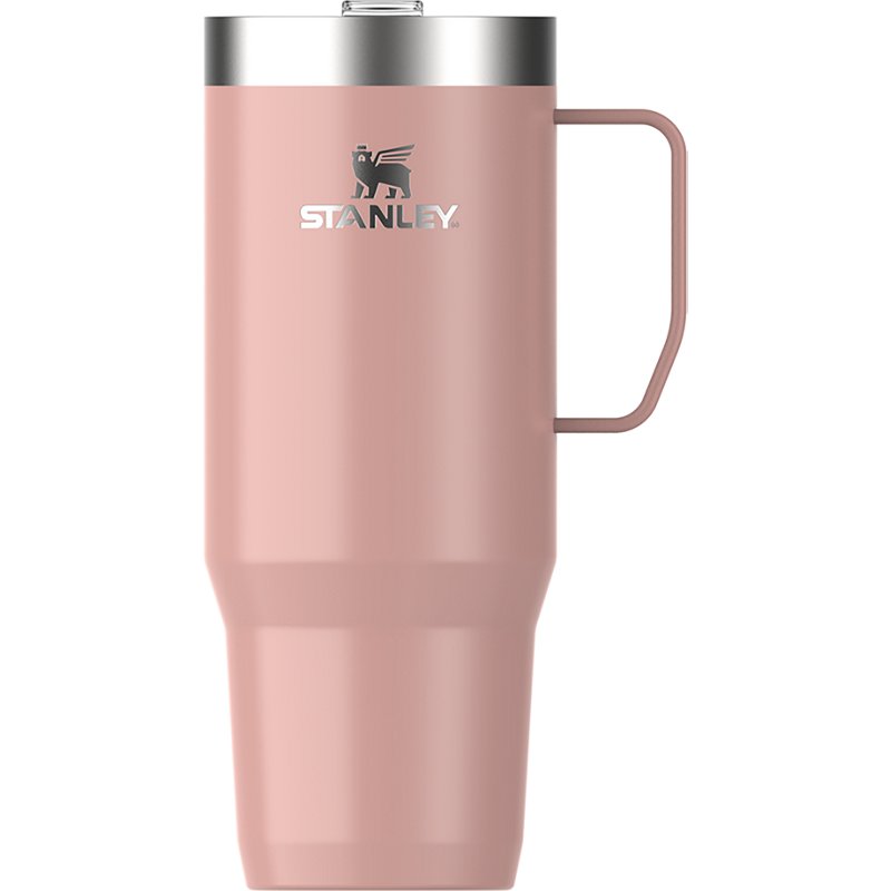 Stanley Everyday 30 oz Suburban Mug