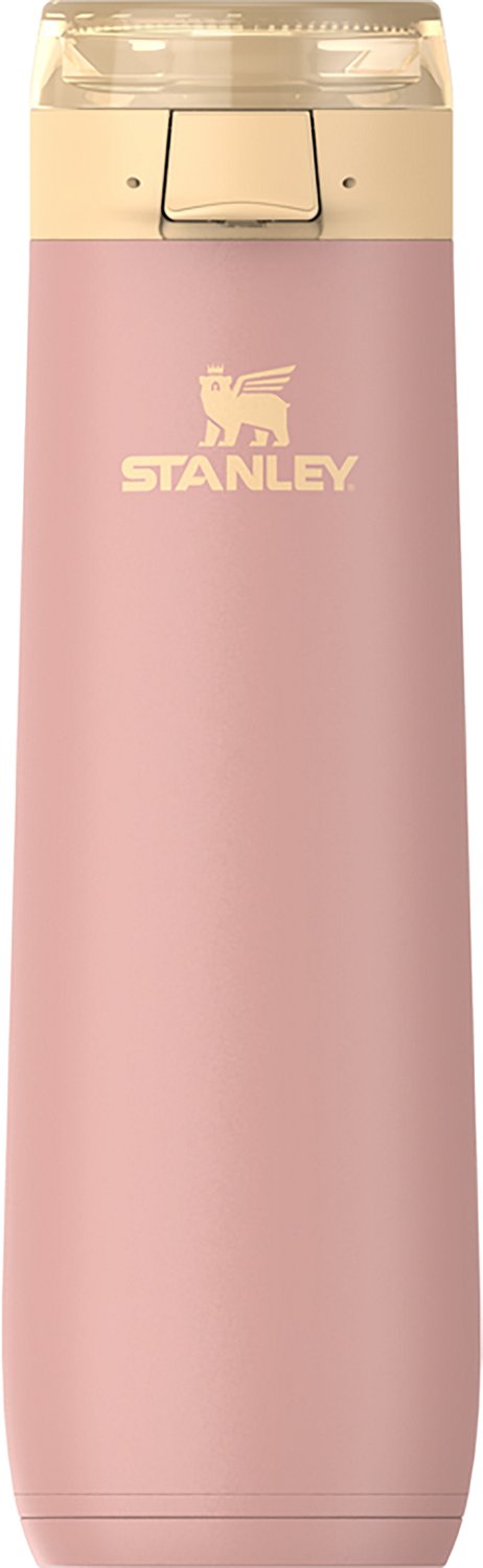 Stanley 20oz Flowstate Spring Bottle