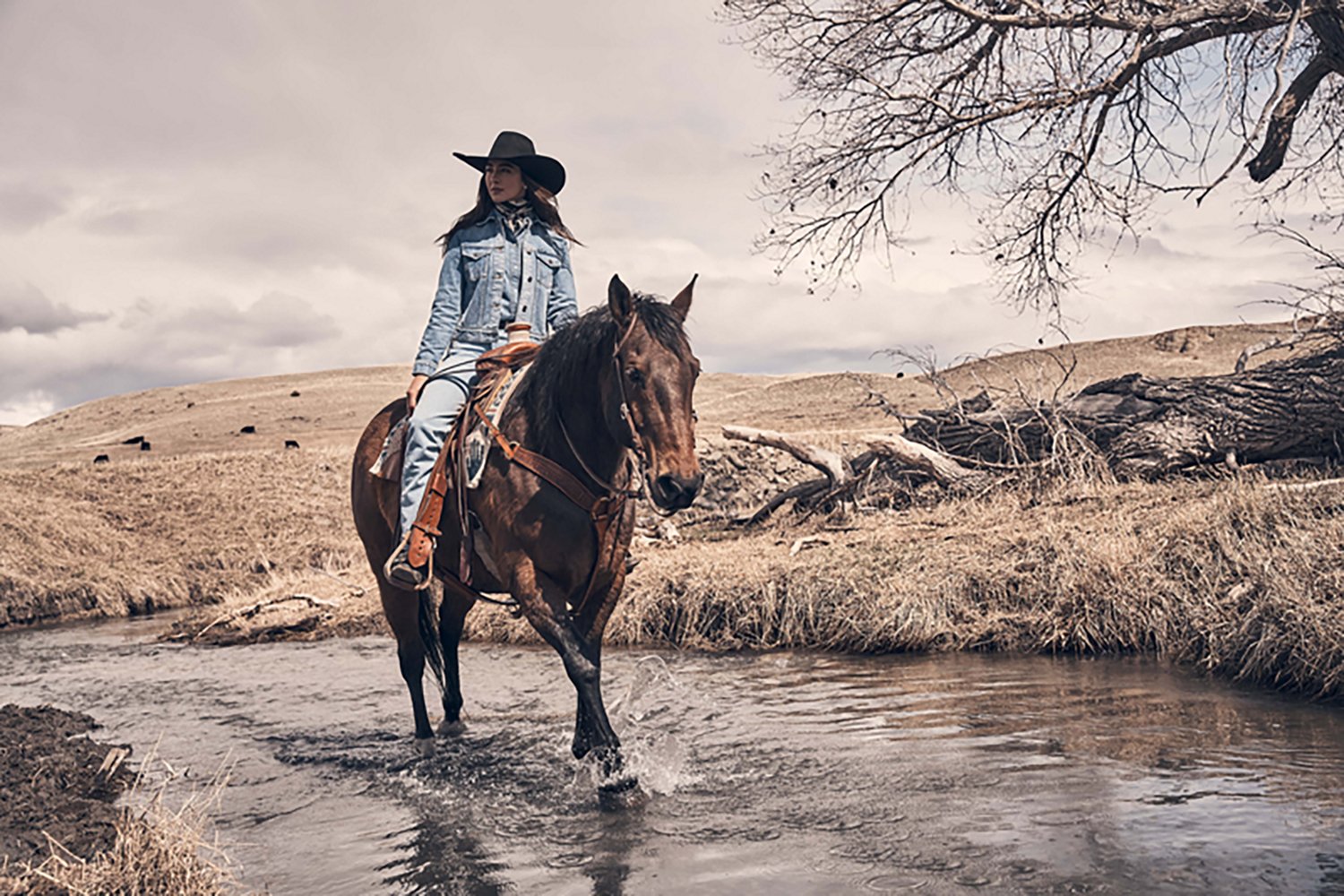 Wrangler Women's Western Unlined Denim Jacket - view number 4